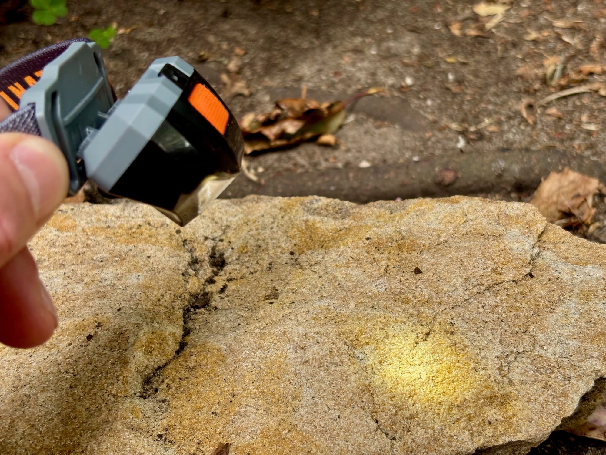 The beam of the Kings Illuminator head torch on a rock