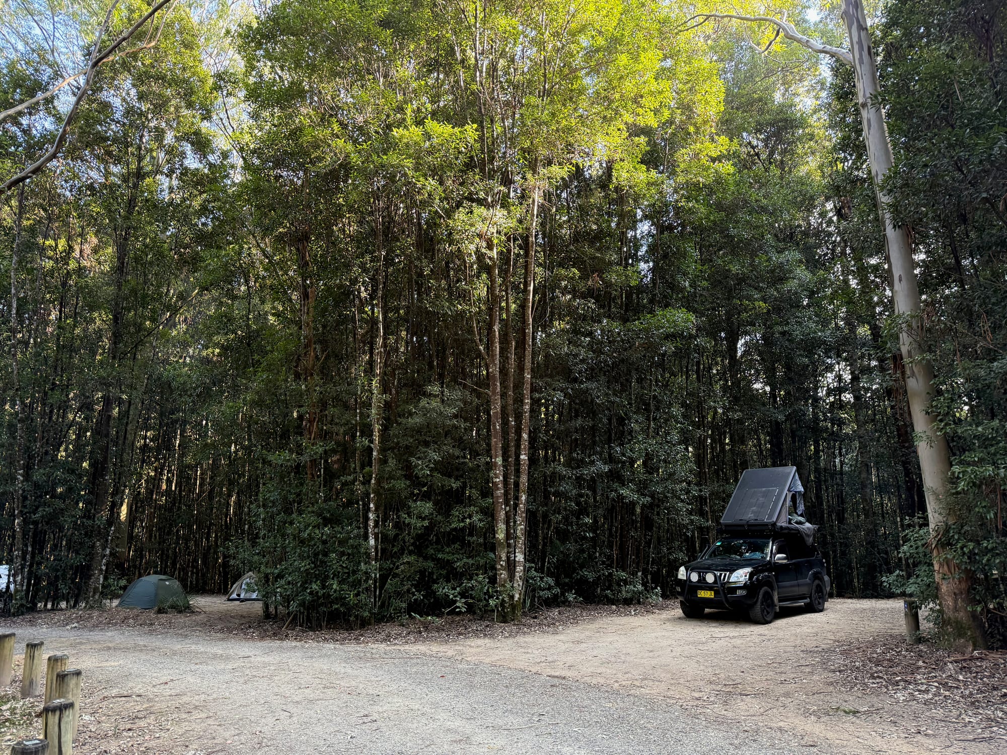 Our Prado with the rooftop tent at the edge of the forest at Bellbird Campground, with a wide gravel area in front and a tent in the distance
