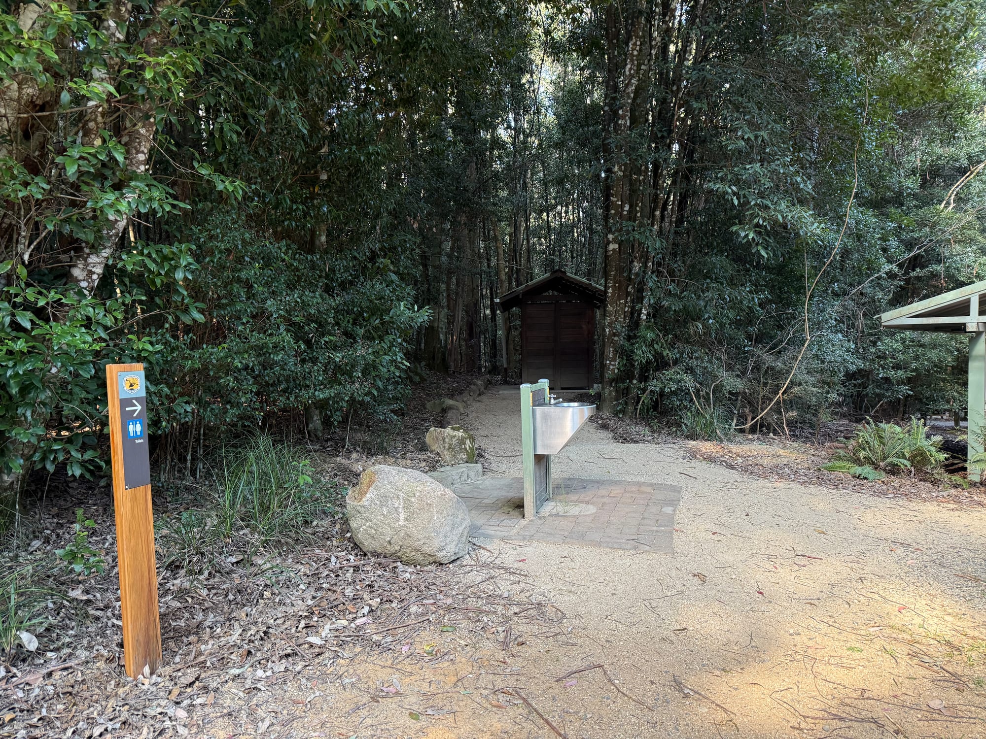 A path leading into the forest to the toilet at Bellbird Campground, with a sink on a post beside it
