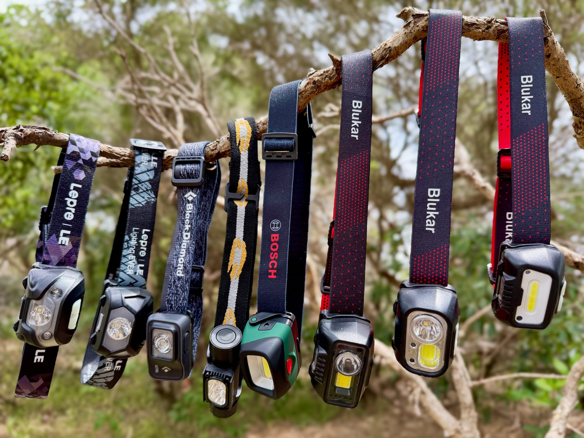 Eight camping head torches hanging by their straps from a branch