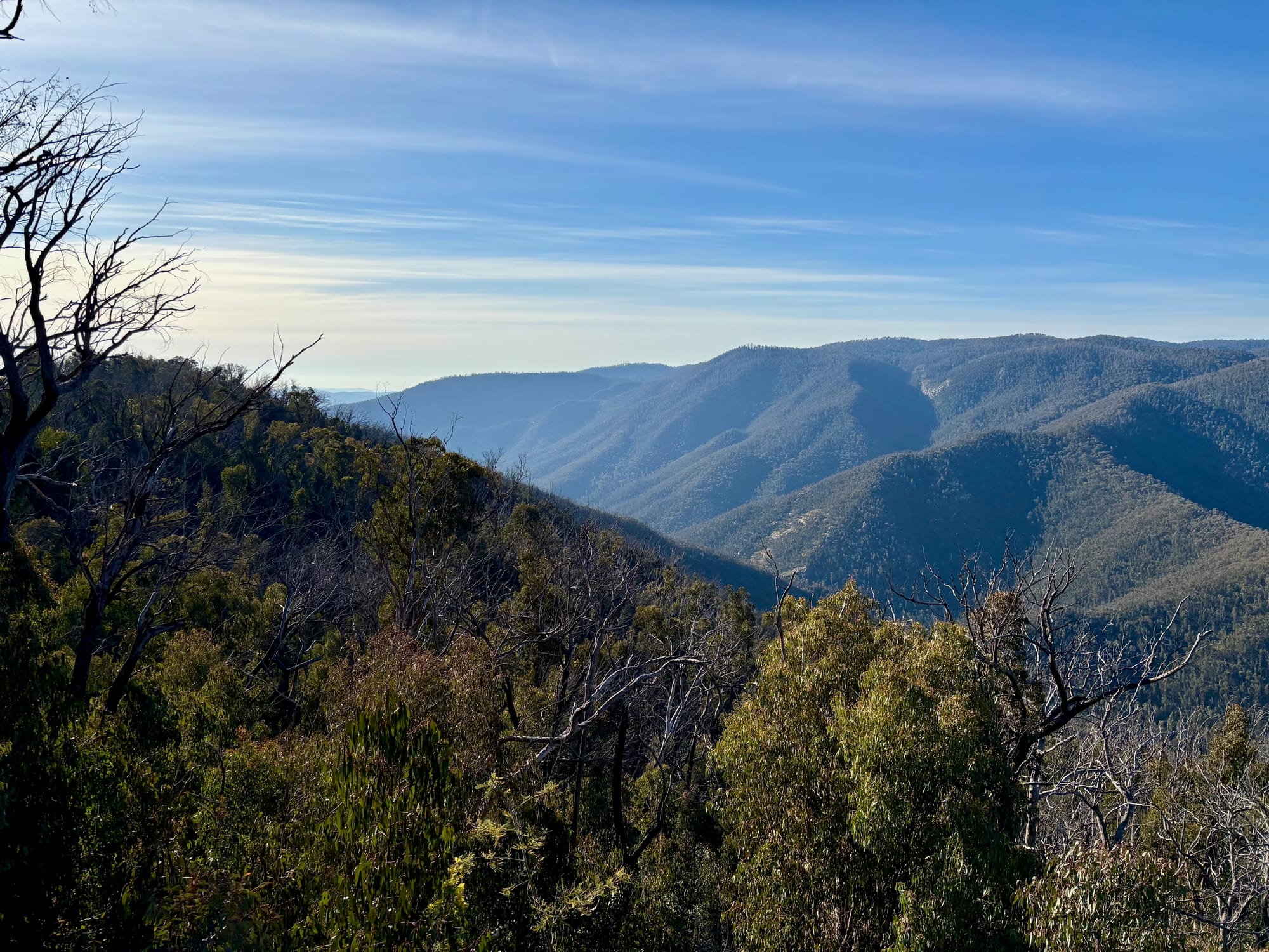 Forested ridges and valleys stretching to the horizon, seen from Black Perry Lookout