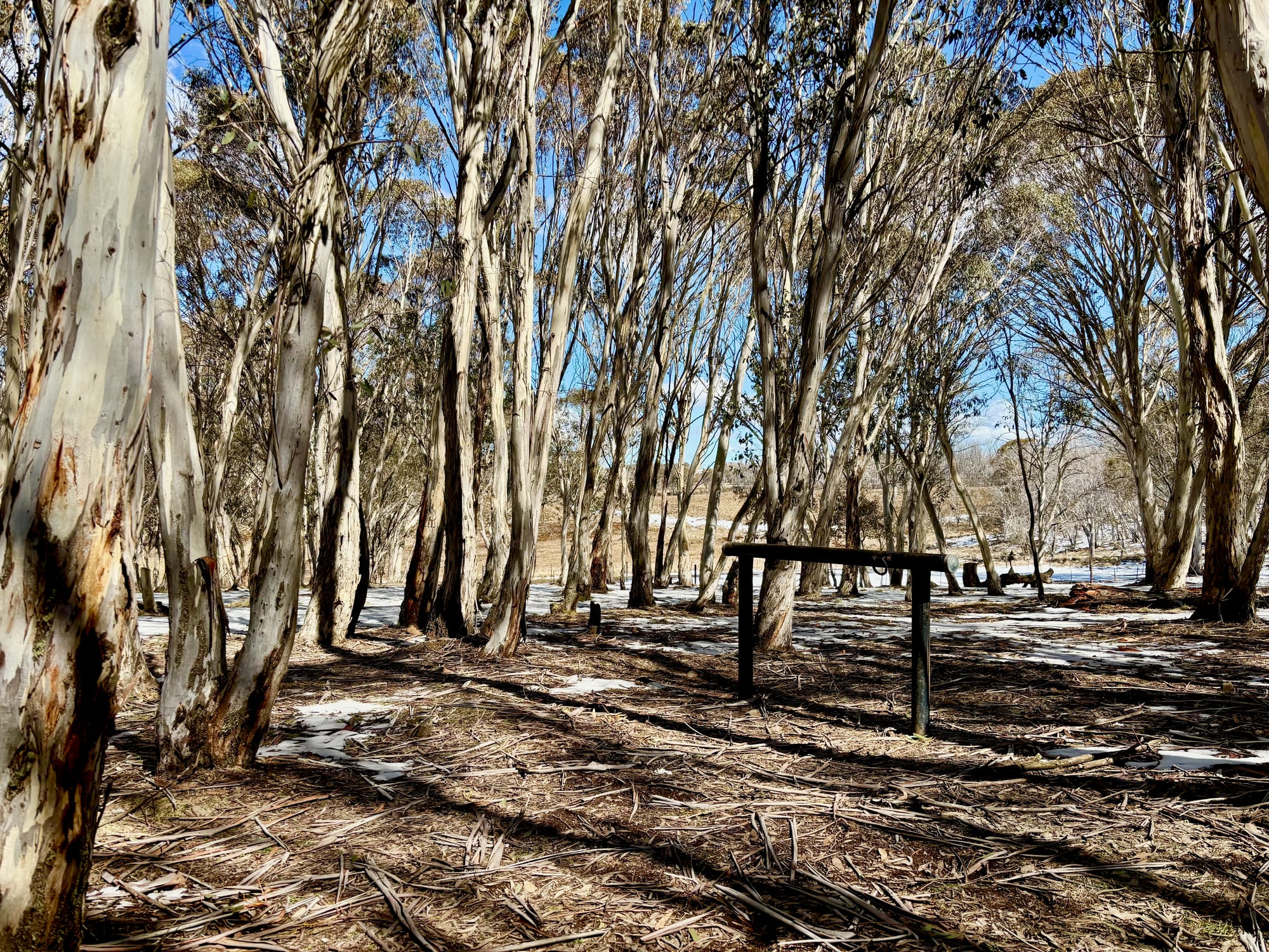 A timber hitching rail for horses among the snow gums at Bullocks Hill Campground