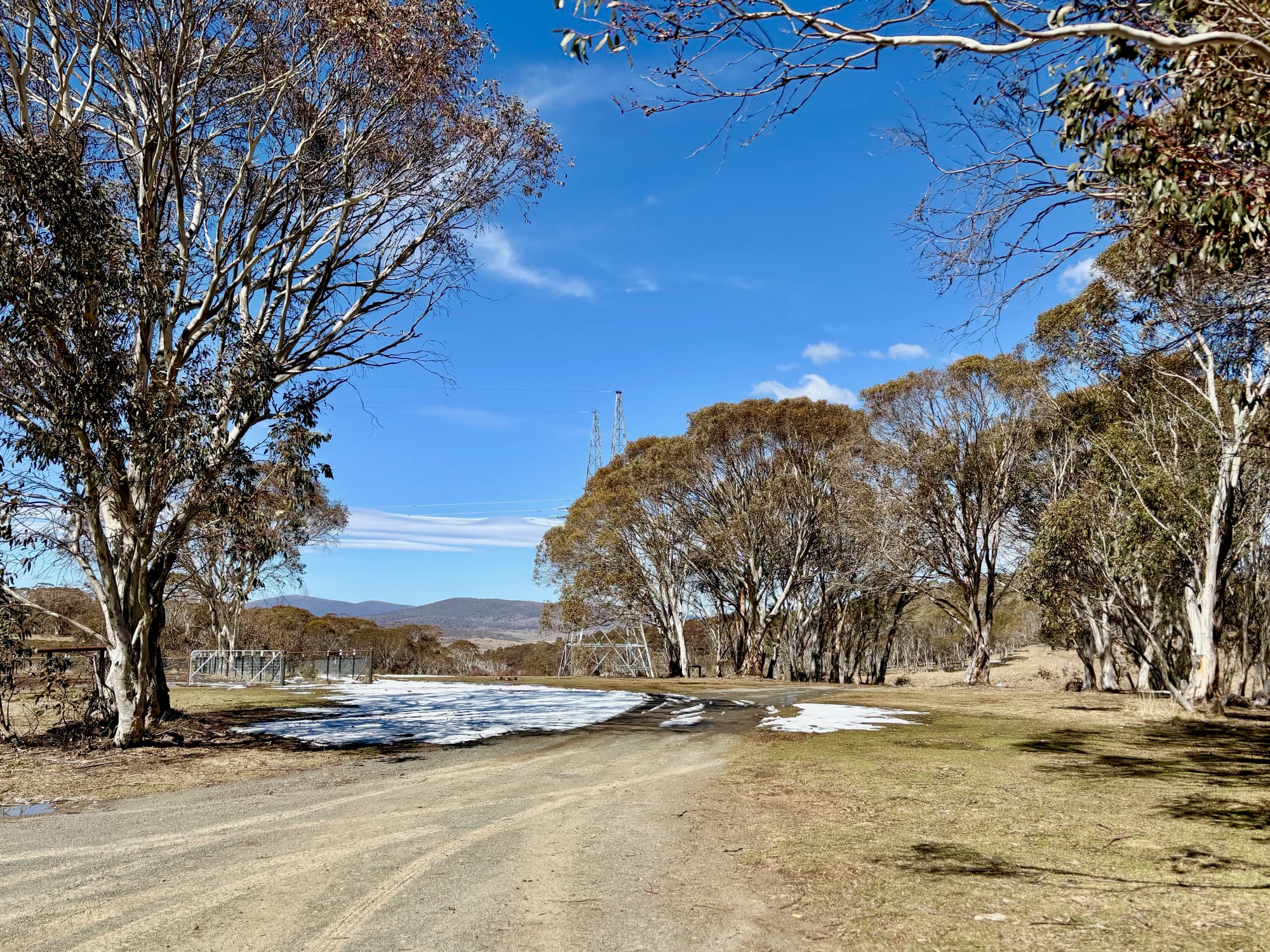 An open grassy area and the gravel track at the edge of Bullocks Hill Campground