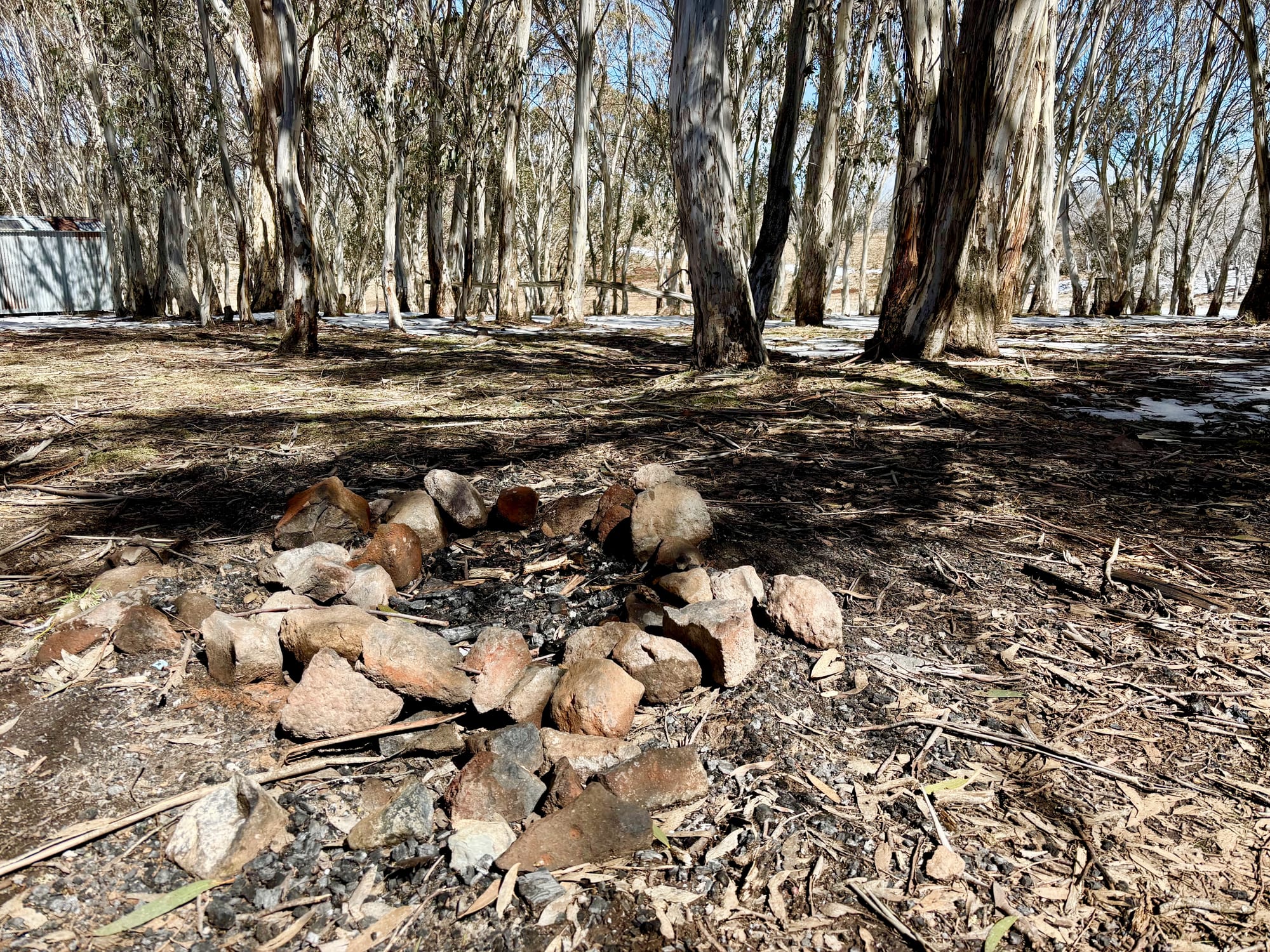 A fire ring made of stones under the snow gums at Bullocks Hill Campground