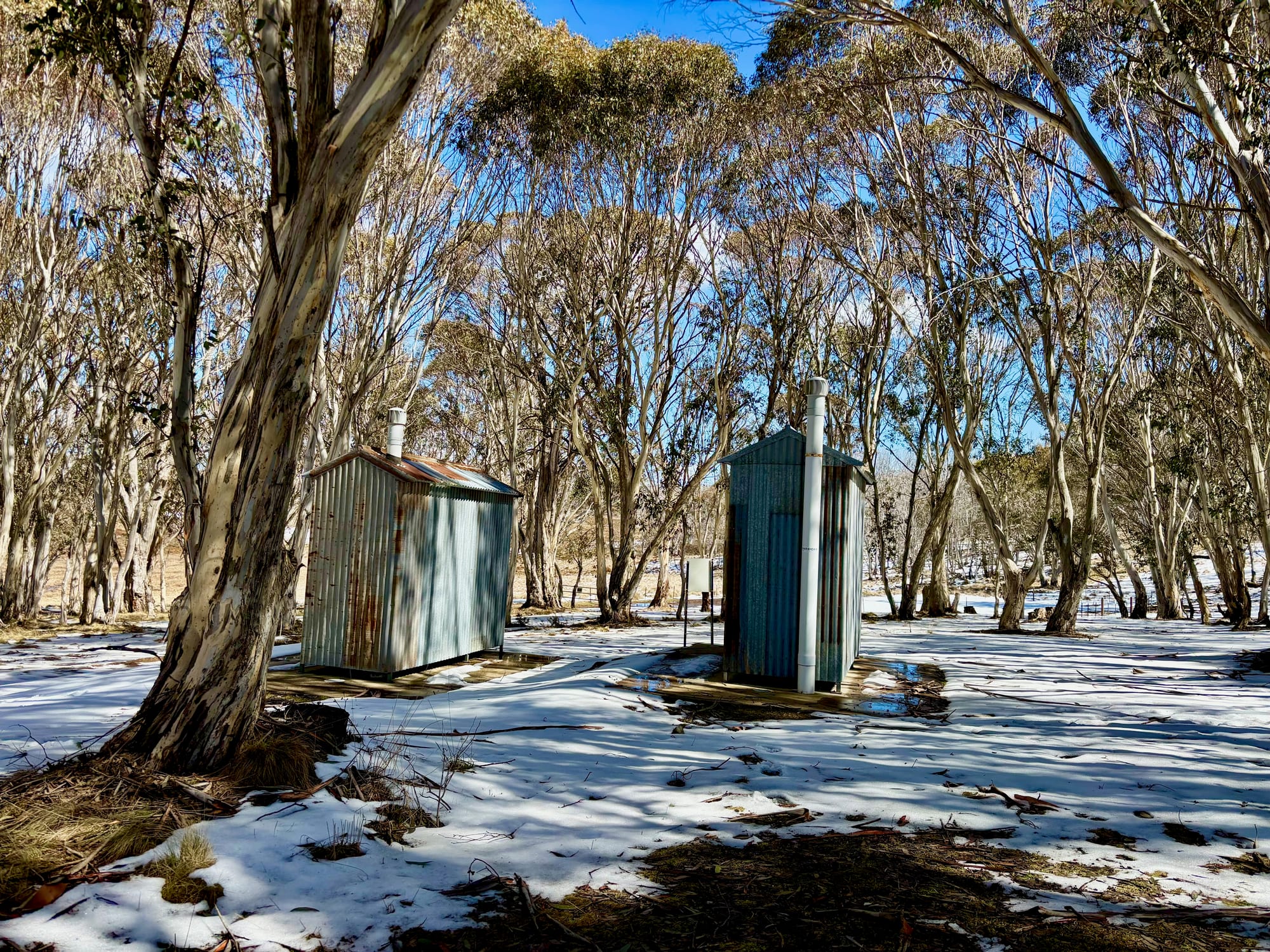 Two corrugated iron toilets among the snow gums at Bullocks Hill Campground, with snow on the ground