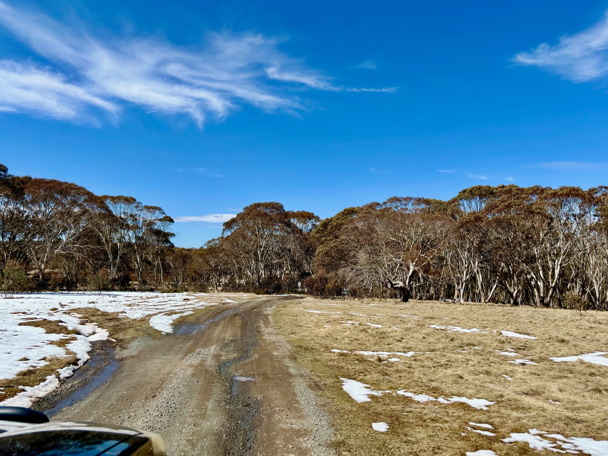 The gravel track into Bullocks Hill Campground, with patches of snow beside it