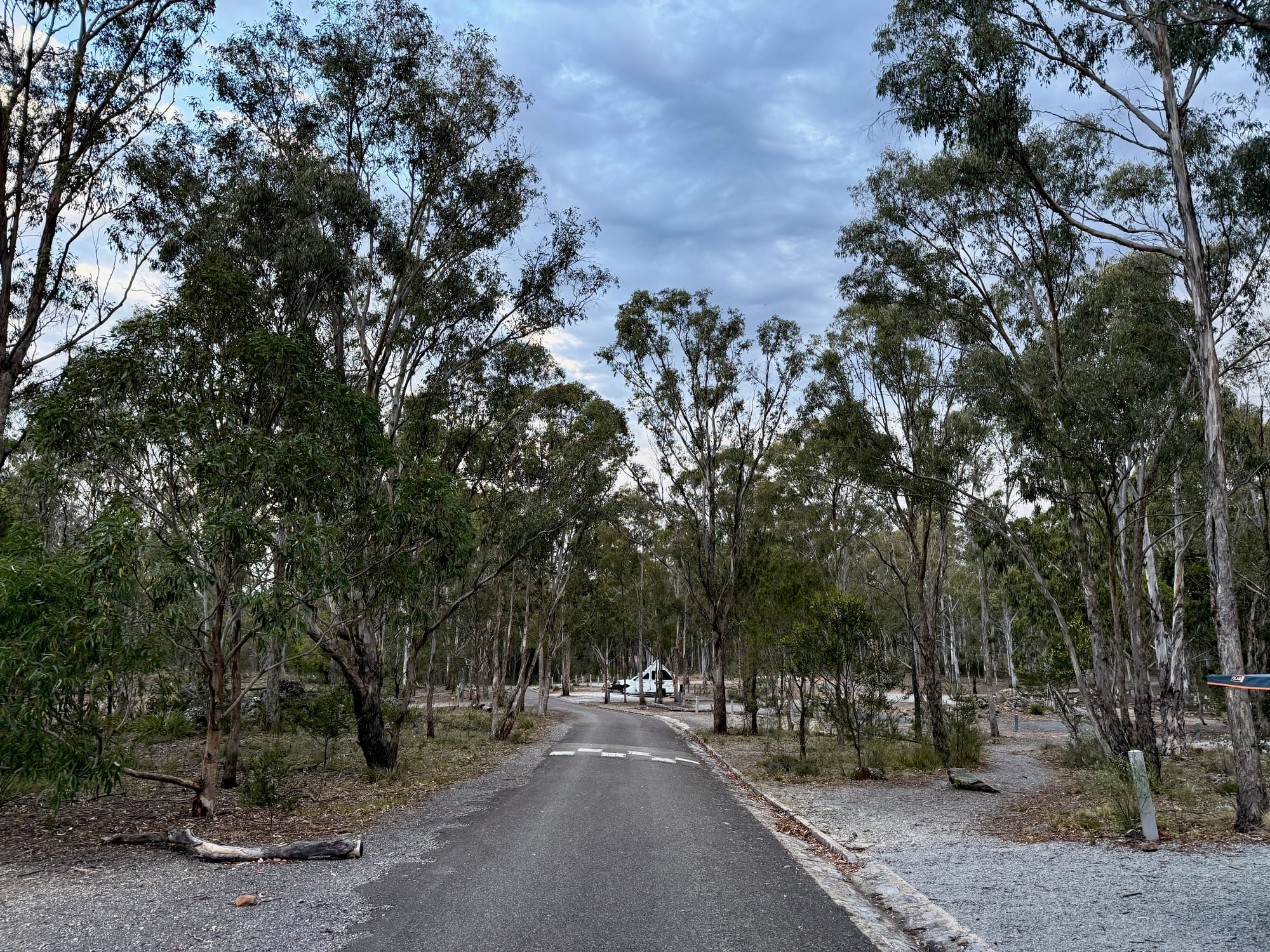 The sealed loop road through Bungonia Campground