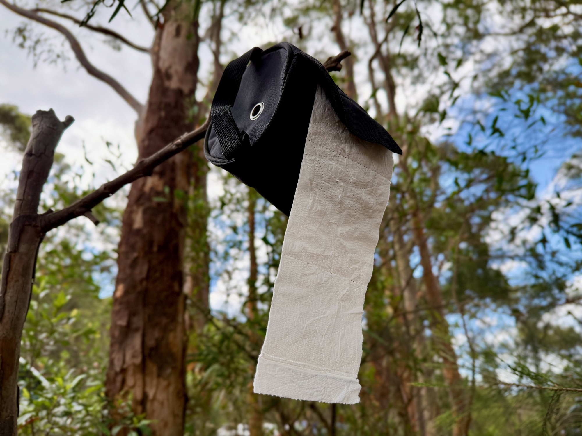 The toilet roll holder hanging from a gum tree in the bush, with paper hanging down