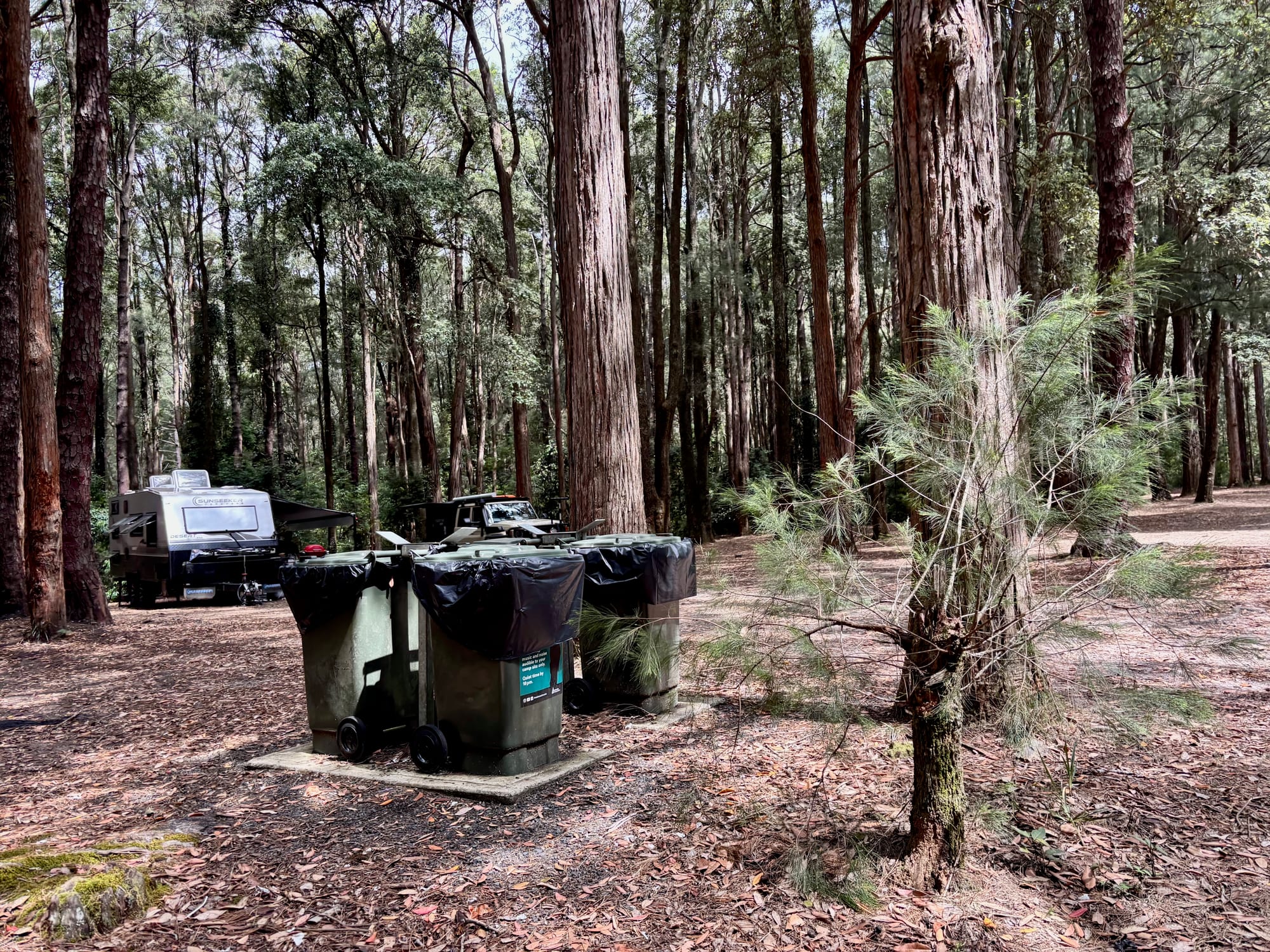 Rubbish bins at Casuarina Camping Area, with a caravan set up behind