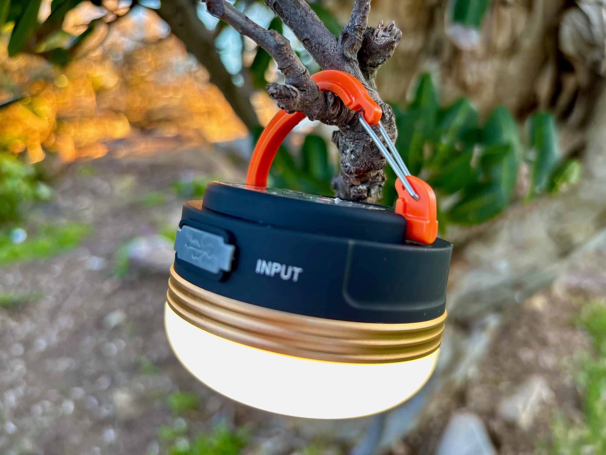 The Clearhill lantern hanging from a branch by its orange clip hook, lit, with the USB-C input flap on the side