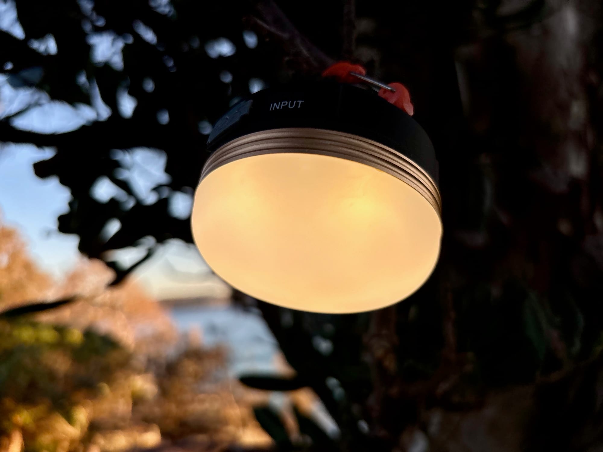 The Clearhill lantern glowing warm against the trees at dusk