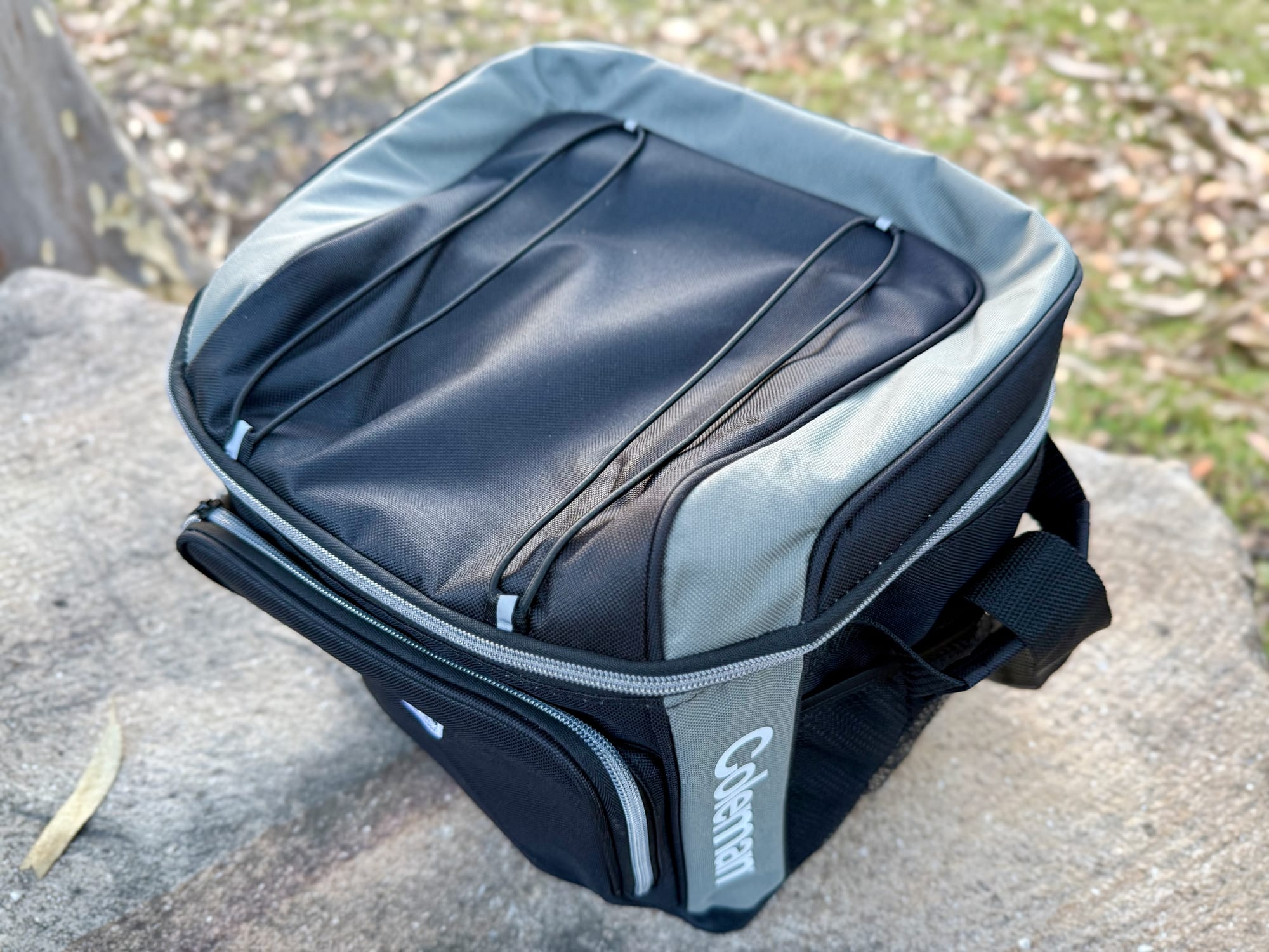 The bungee cords on the lid of the Coleman 30 Can Soft Cooler