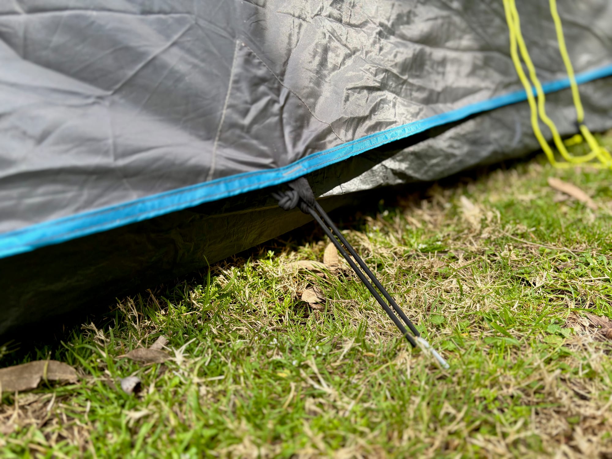 A corner of the Coleman tent pegged down at the base, with its blue trim
