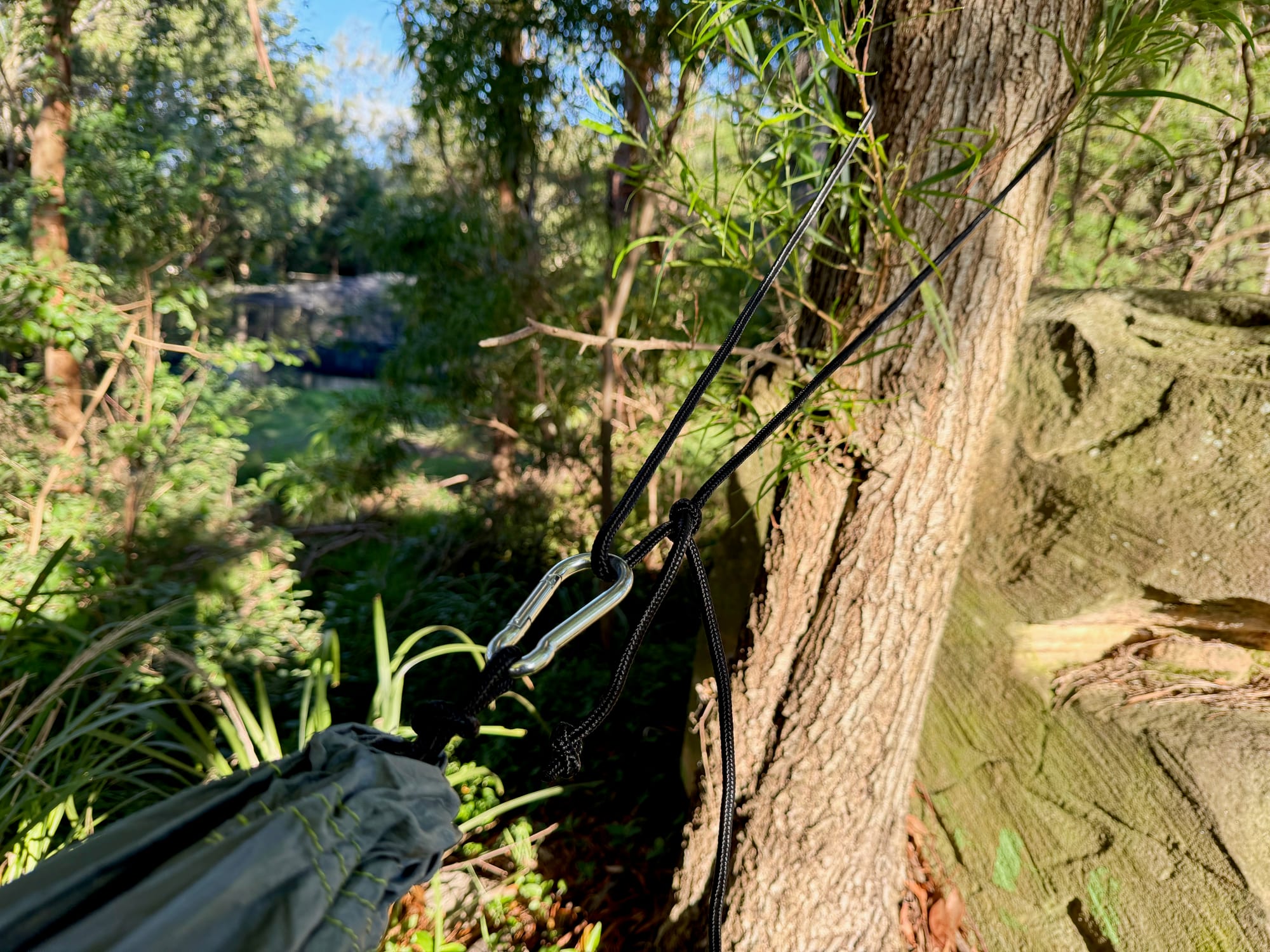 The Coleman hammock’s rope tied around a tree trunk, running down to the hammock