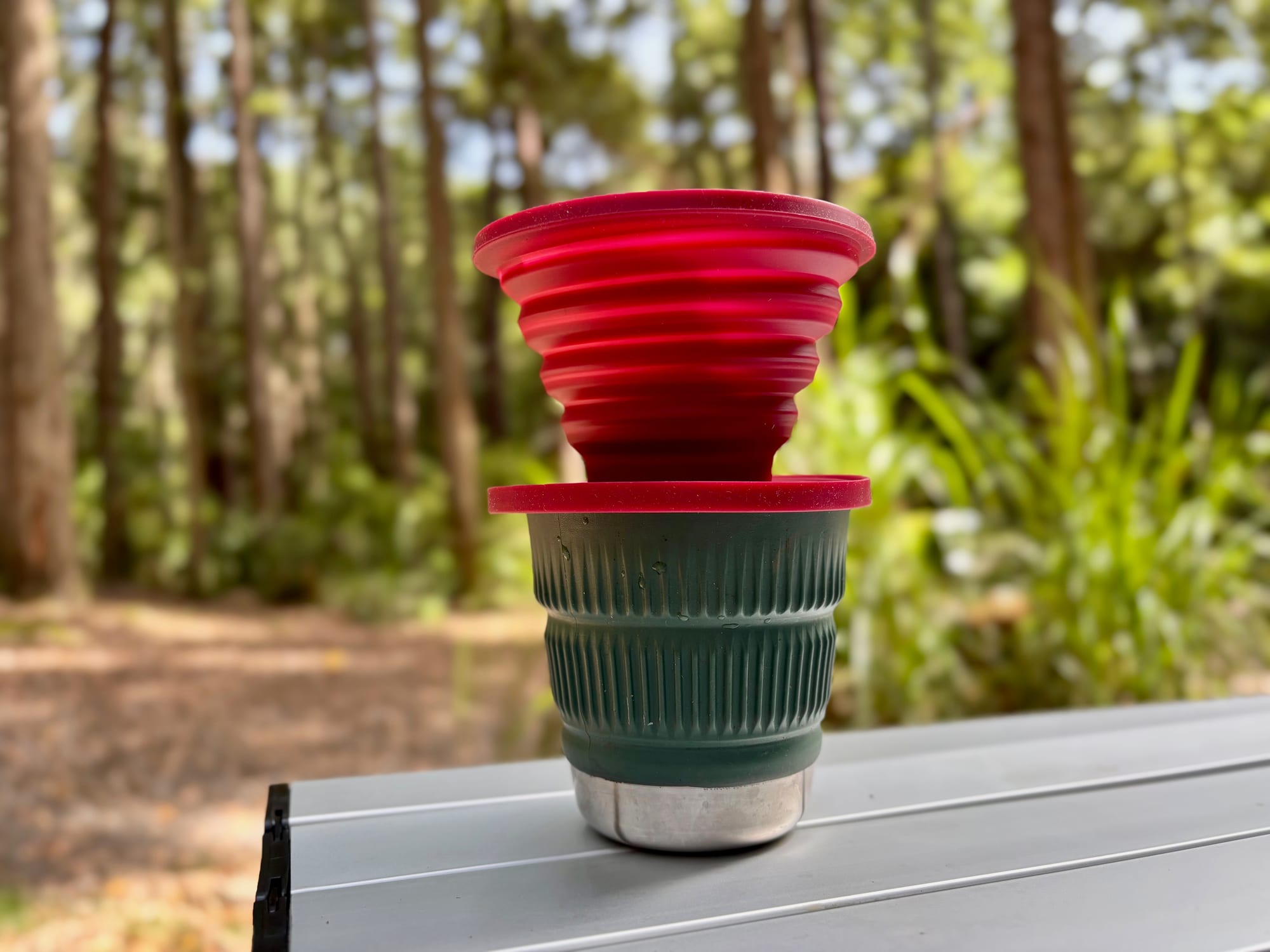 The collapsible coffee dripper popped up and sitting on a mug