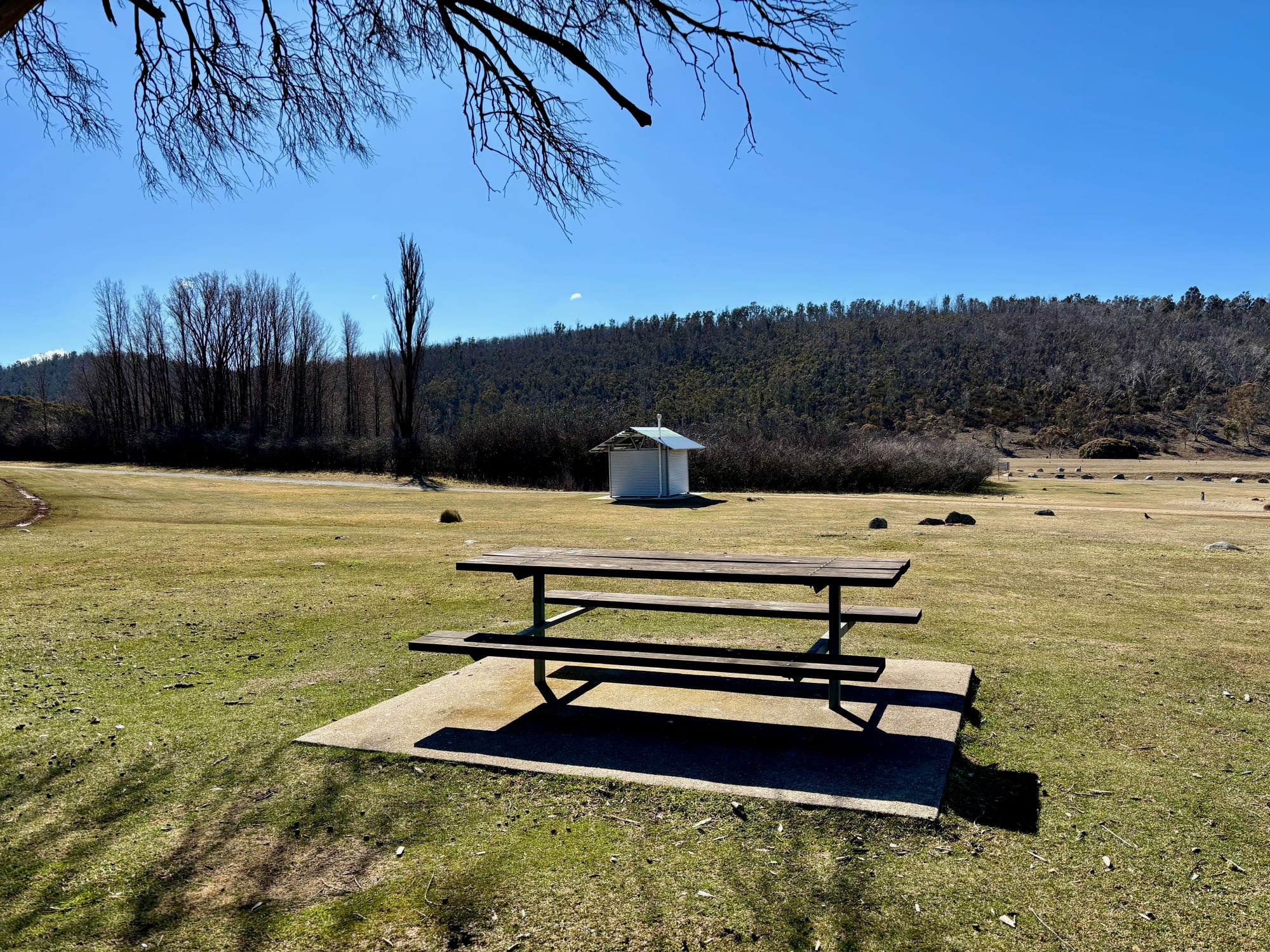 A picnic table on a concrete pad at Denison Campground, with the toilet block behind it