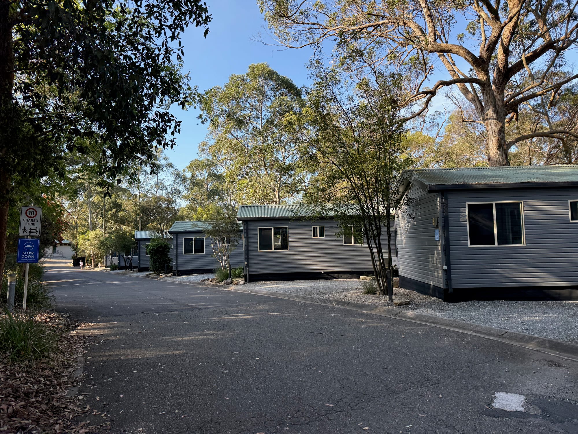 A row of grey cabins along a sealed road under the gum trees at Discovery Parks Lane Cove