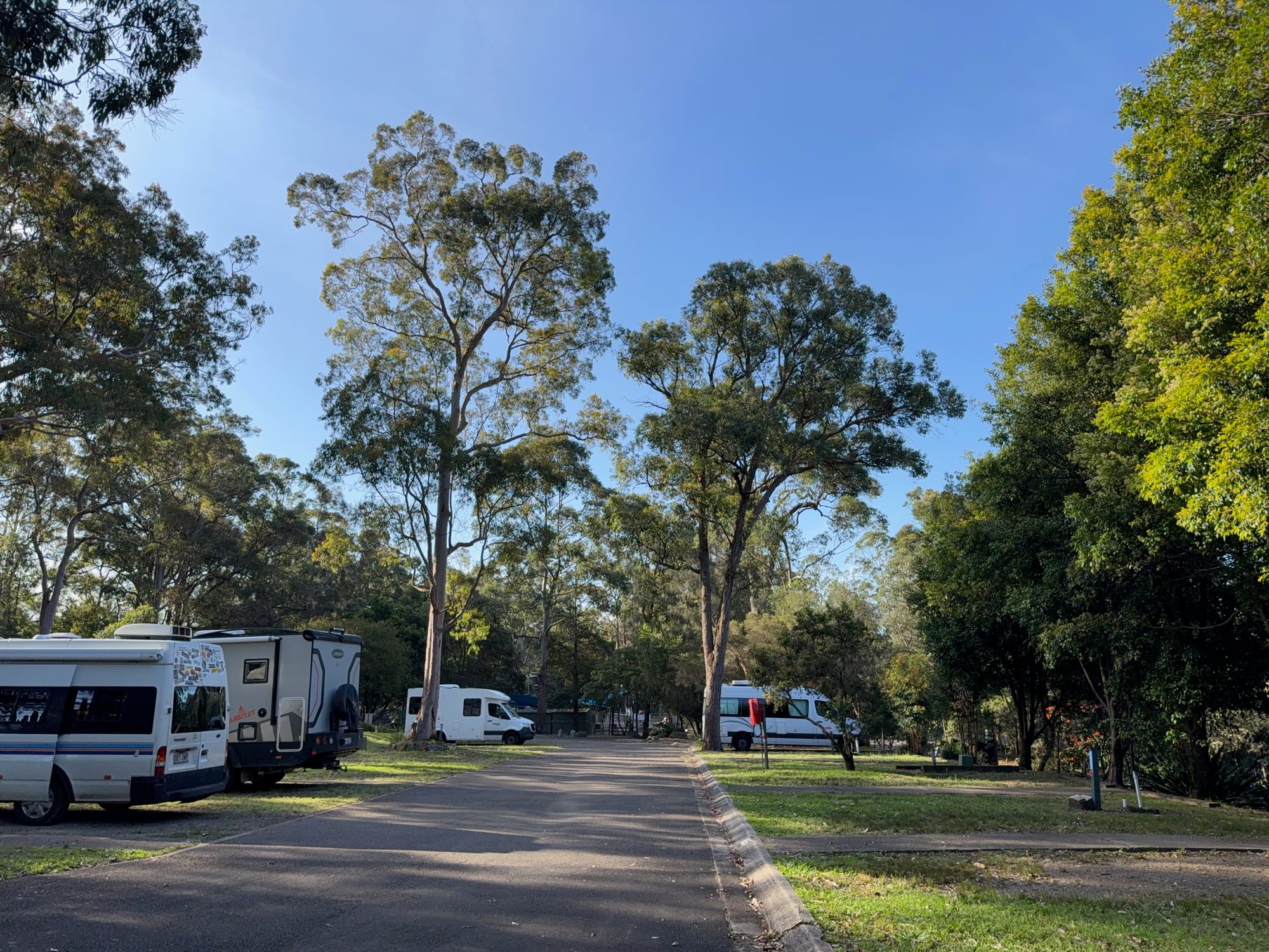 Campervans and caravans parked along a sealed road at Discovery Parks Lane Cove