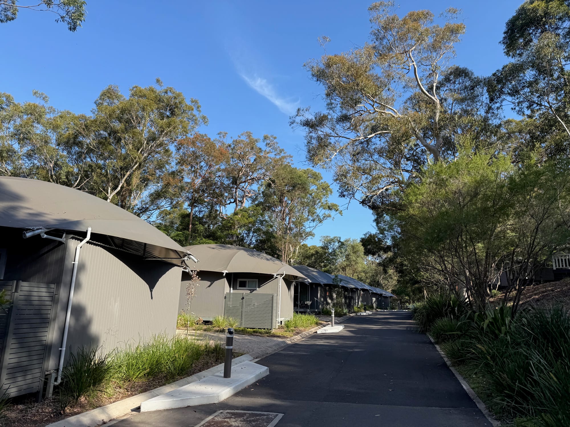 A row of deluxe tents with grey canvas roofs along a road at Discovery Parks Lane Cove