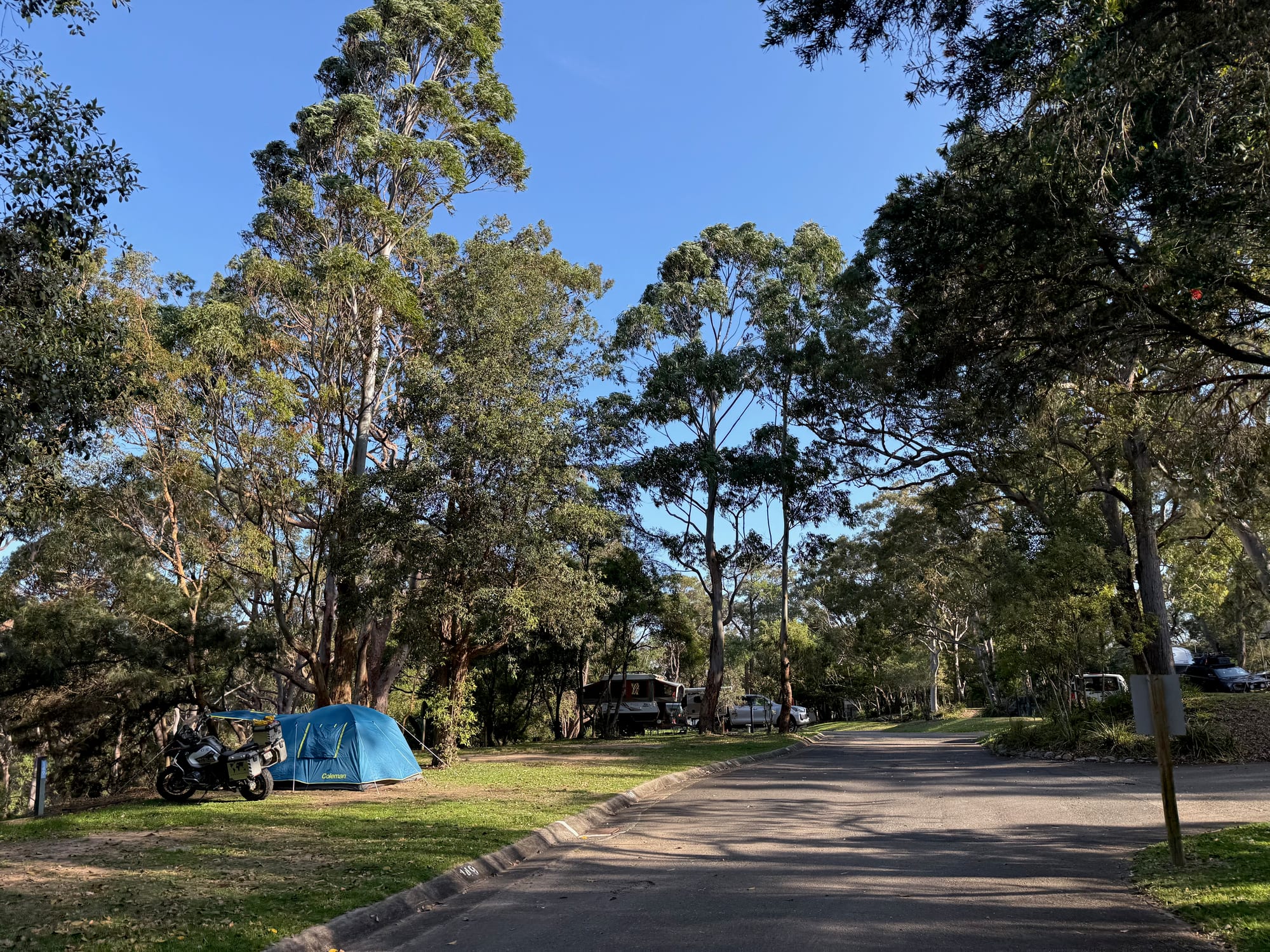 A blue tent and a motorbike on a grassy site beside a sealed road under the gum trees at Discovery Parks Lane Cove