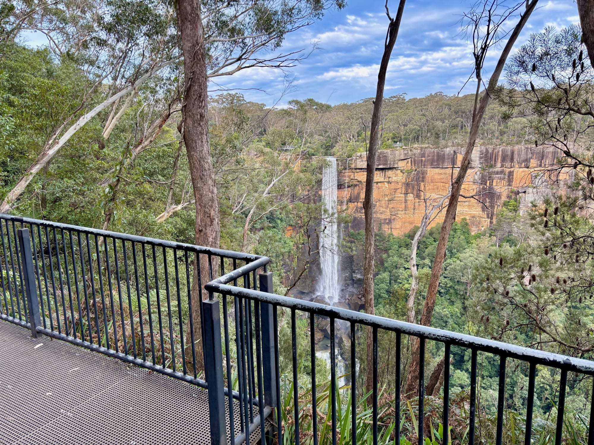 A fenced viewing platform on the West Rim track, with Fitzroy Falls in view across the gorge