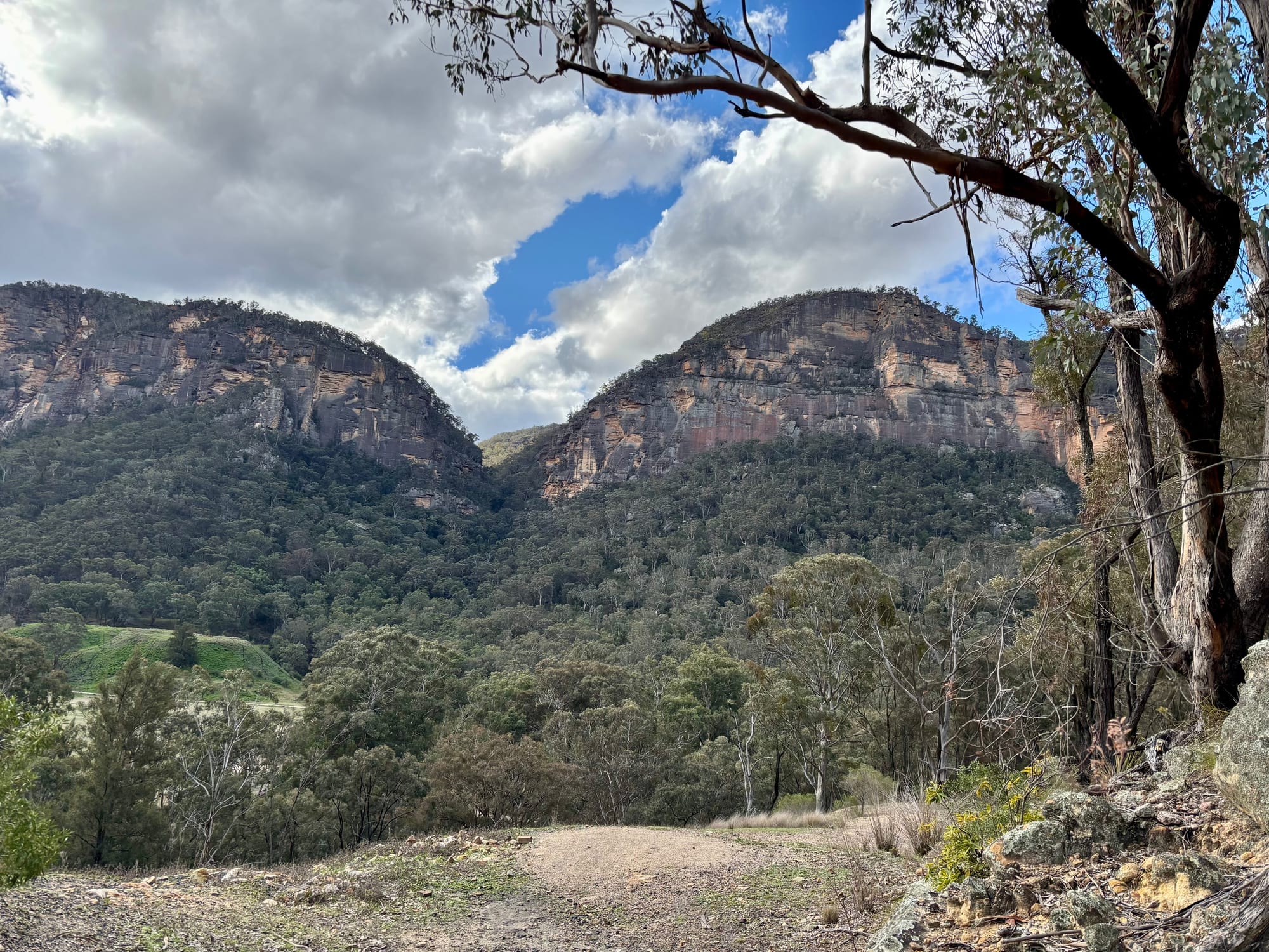 Sandstone cliffs above the trees at Glen Davis