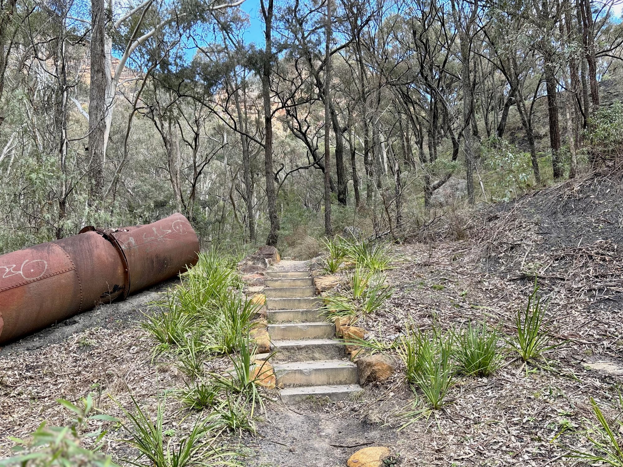 An old rusted pipe beside the track to Glen Davis Lookout