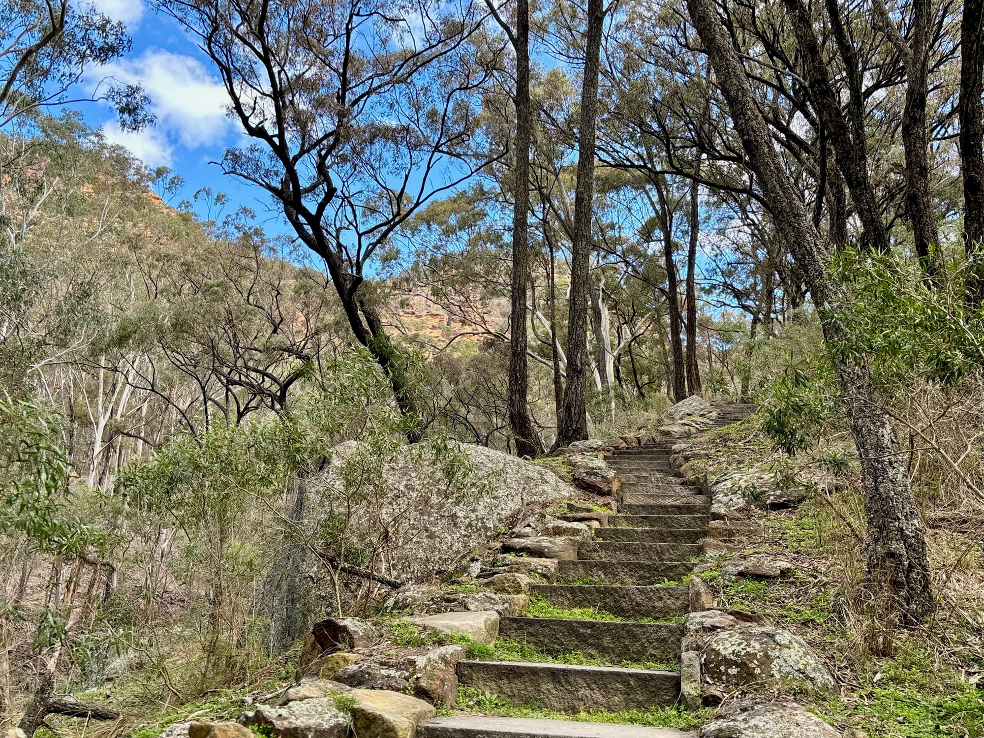 Stone steps on the walking track to Glen Davis Lookout