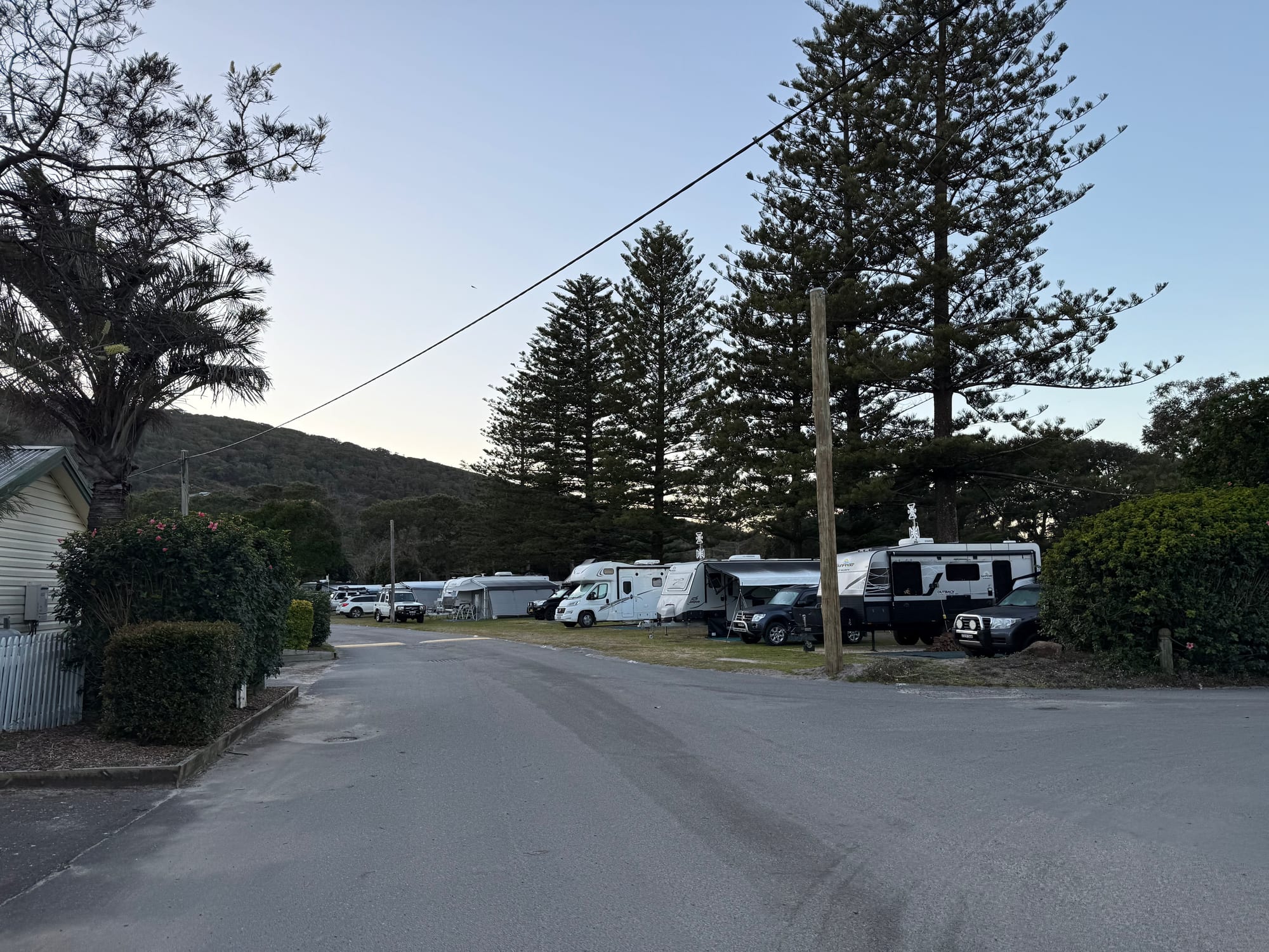 The sealed road into Hat Head Holiday Park in the late afternoon, with motorhomes and caravans lined up under tall Norfolk pines and green hills behind