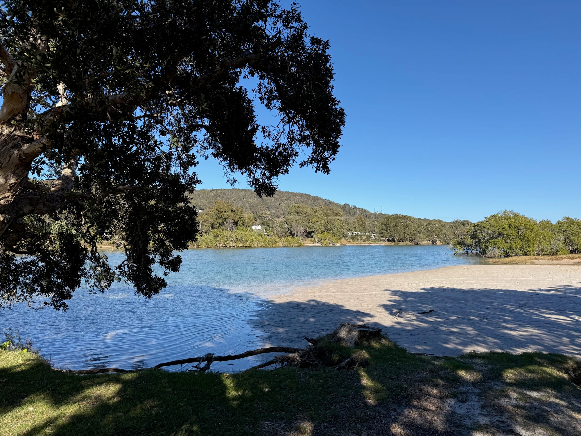 Korogoro Creek from the bank at Hat Head, with a sandy edge, a tree overhead and green hills on the far side