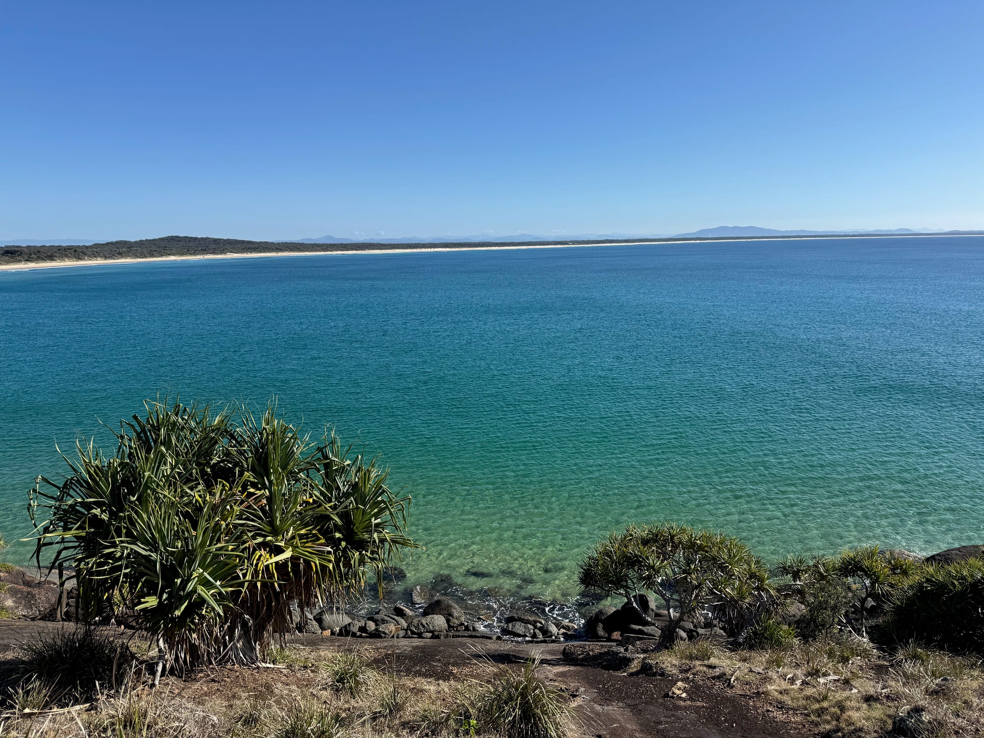Turquoise water and a long curving beach from the Korogoro walking track, with pandanus on the slope below