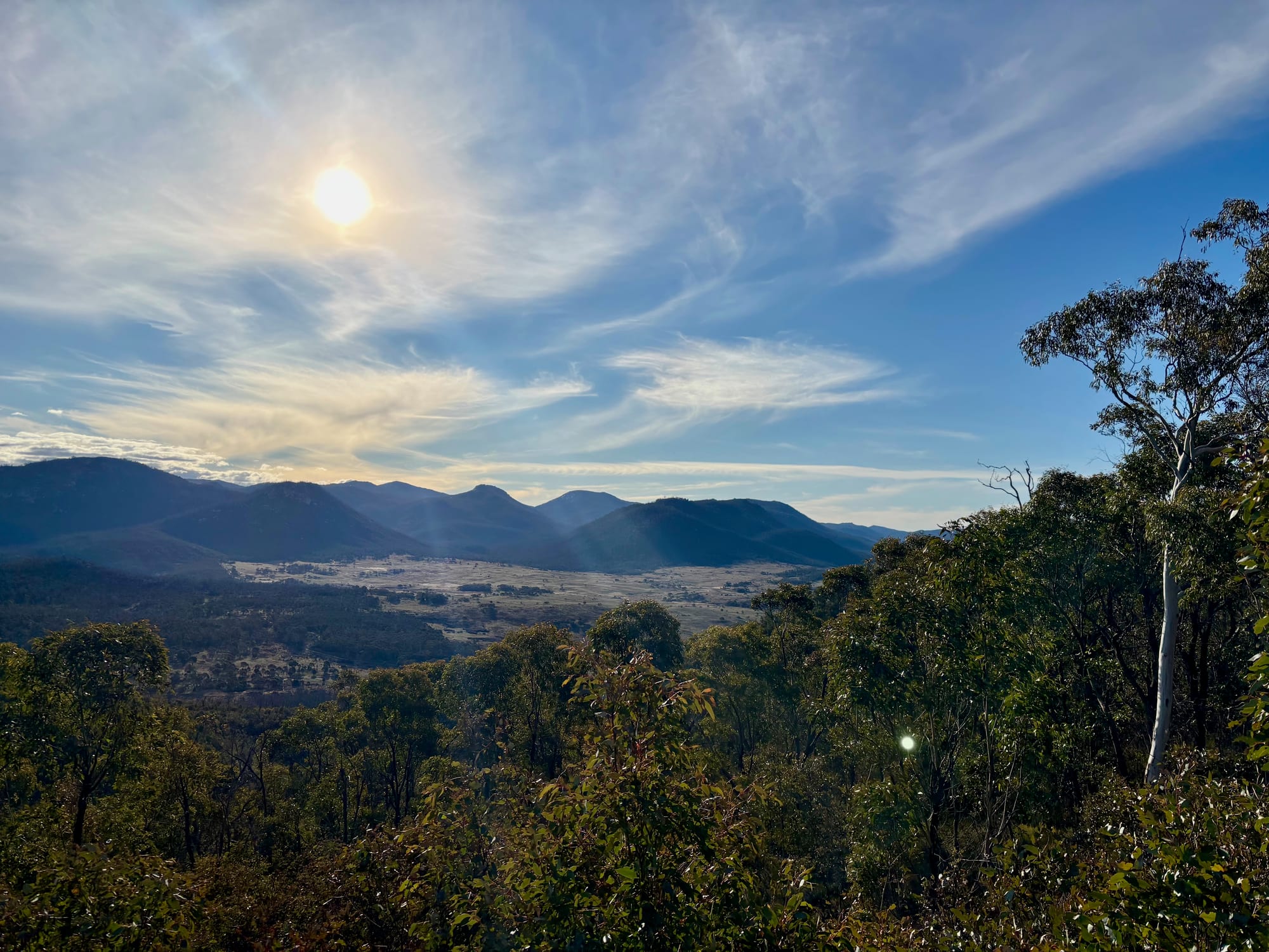 The view from Hospital Hill Lookout over the Gudgenby Valley, with snow gums in the foreground