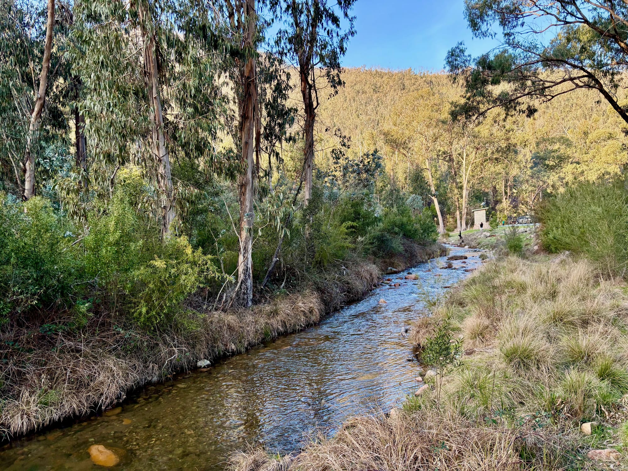 Jounama Creek running between grassy banks beside the campsites
