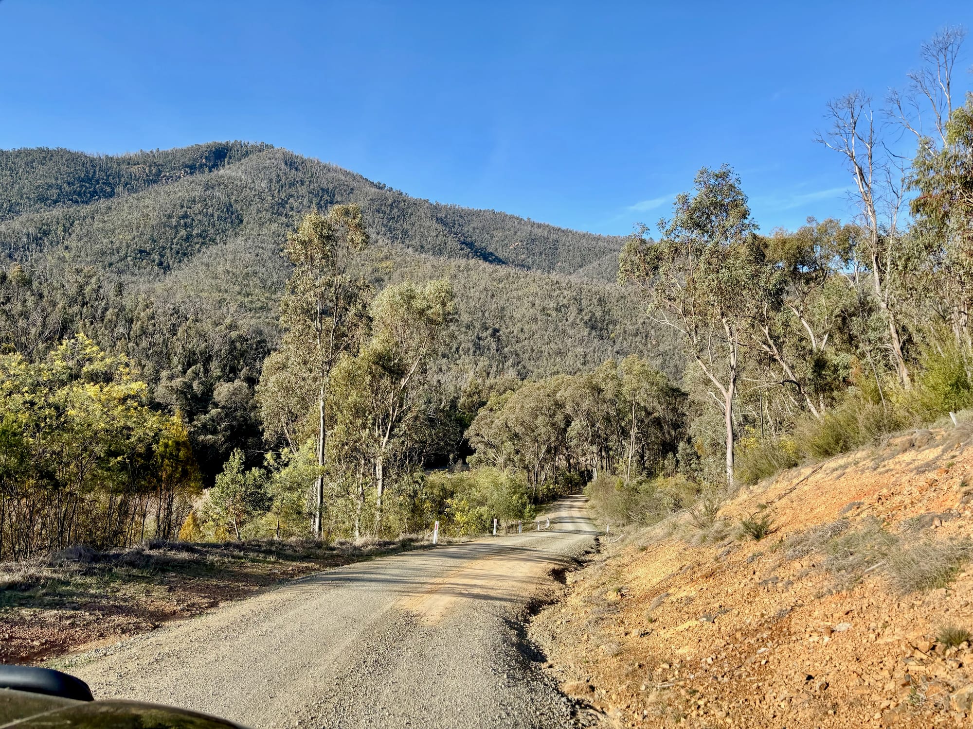 The dirt road from the highway down to Jounama Creek Campground, with forested hills ahead
