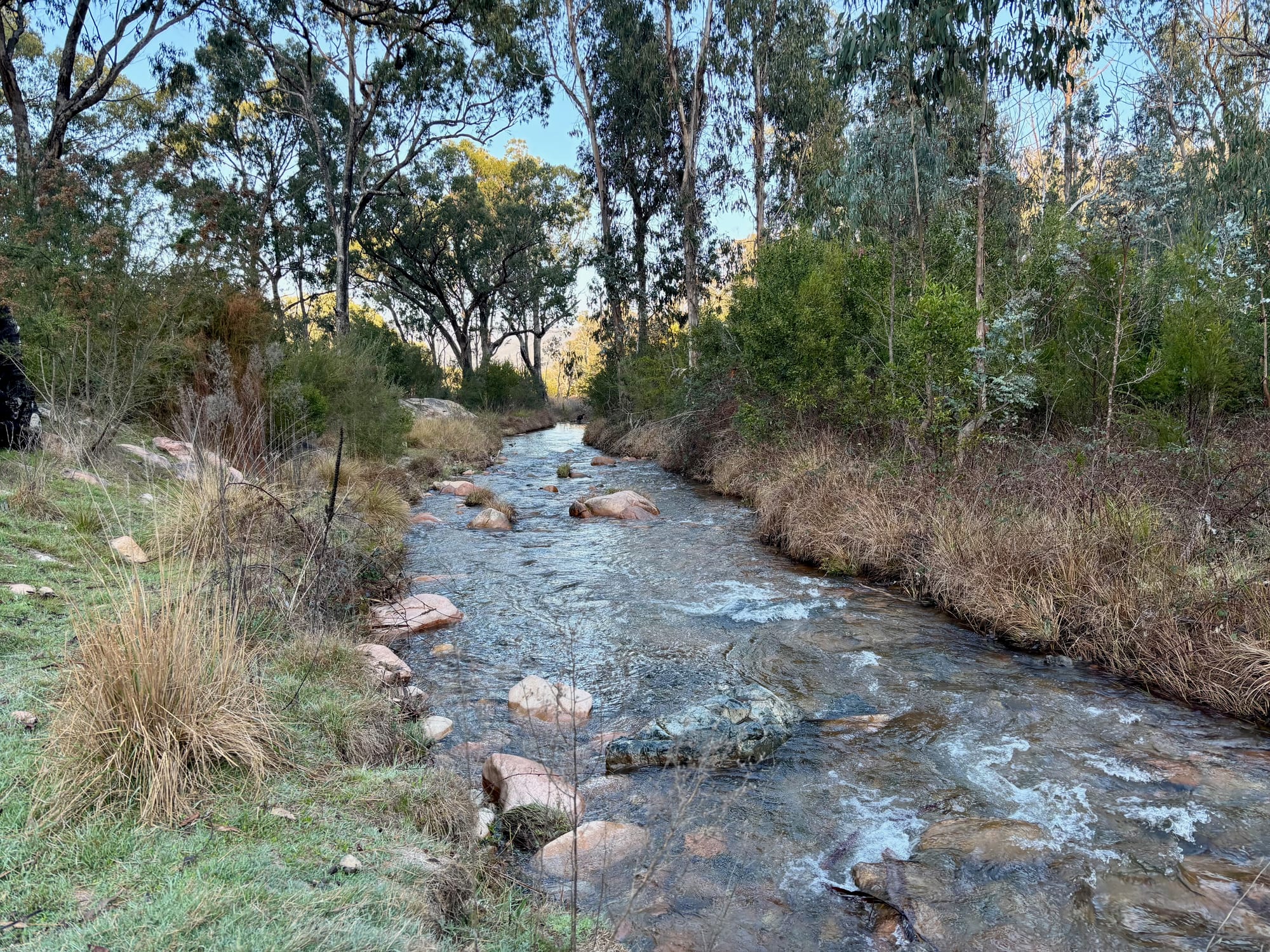 Jounama Creek running fast over rocks next to the campground