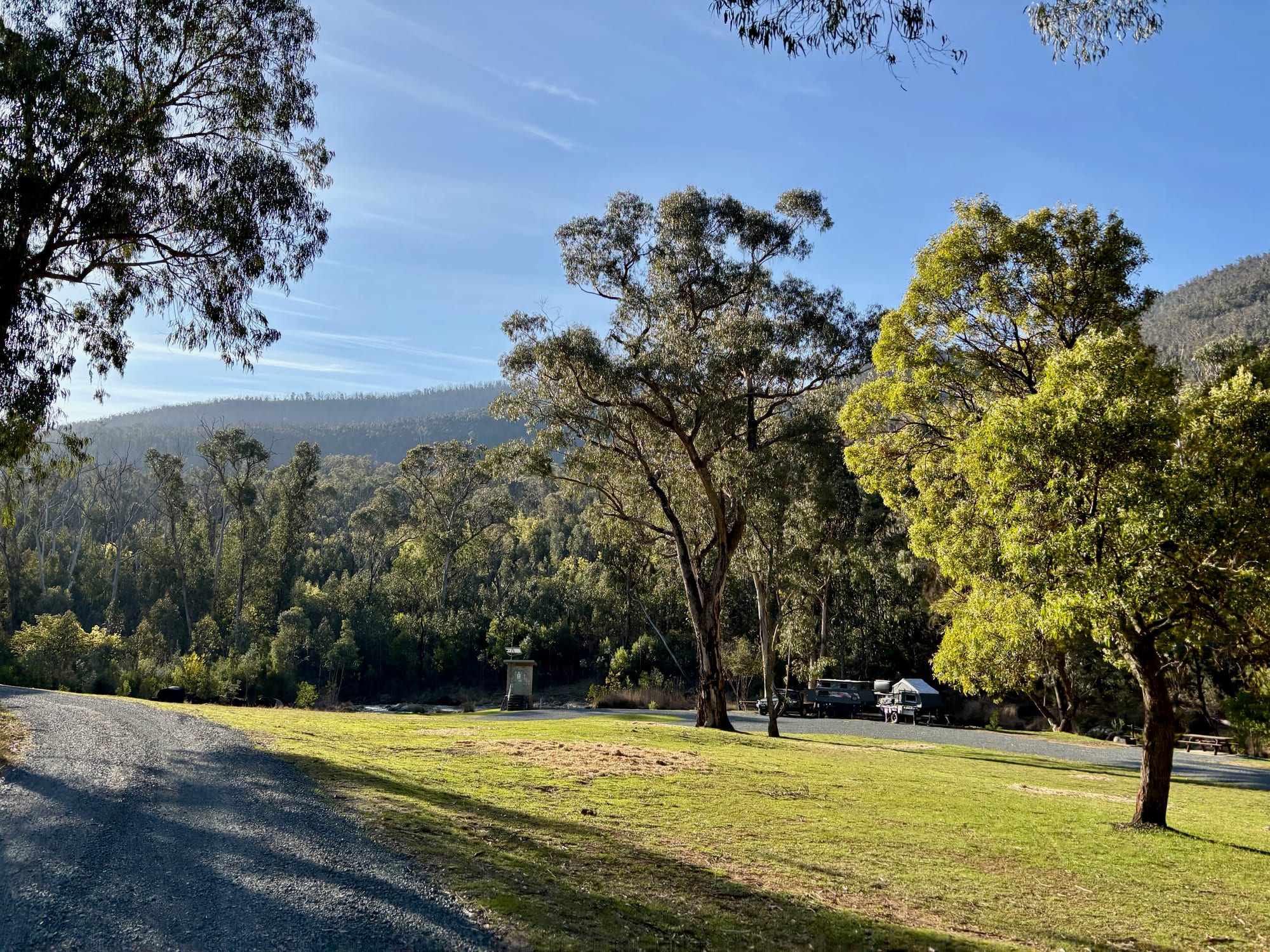 Open grass and big gum trees beside the gravel road through Jounama Creek Campground