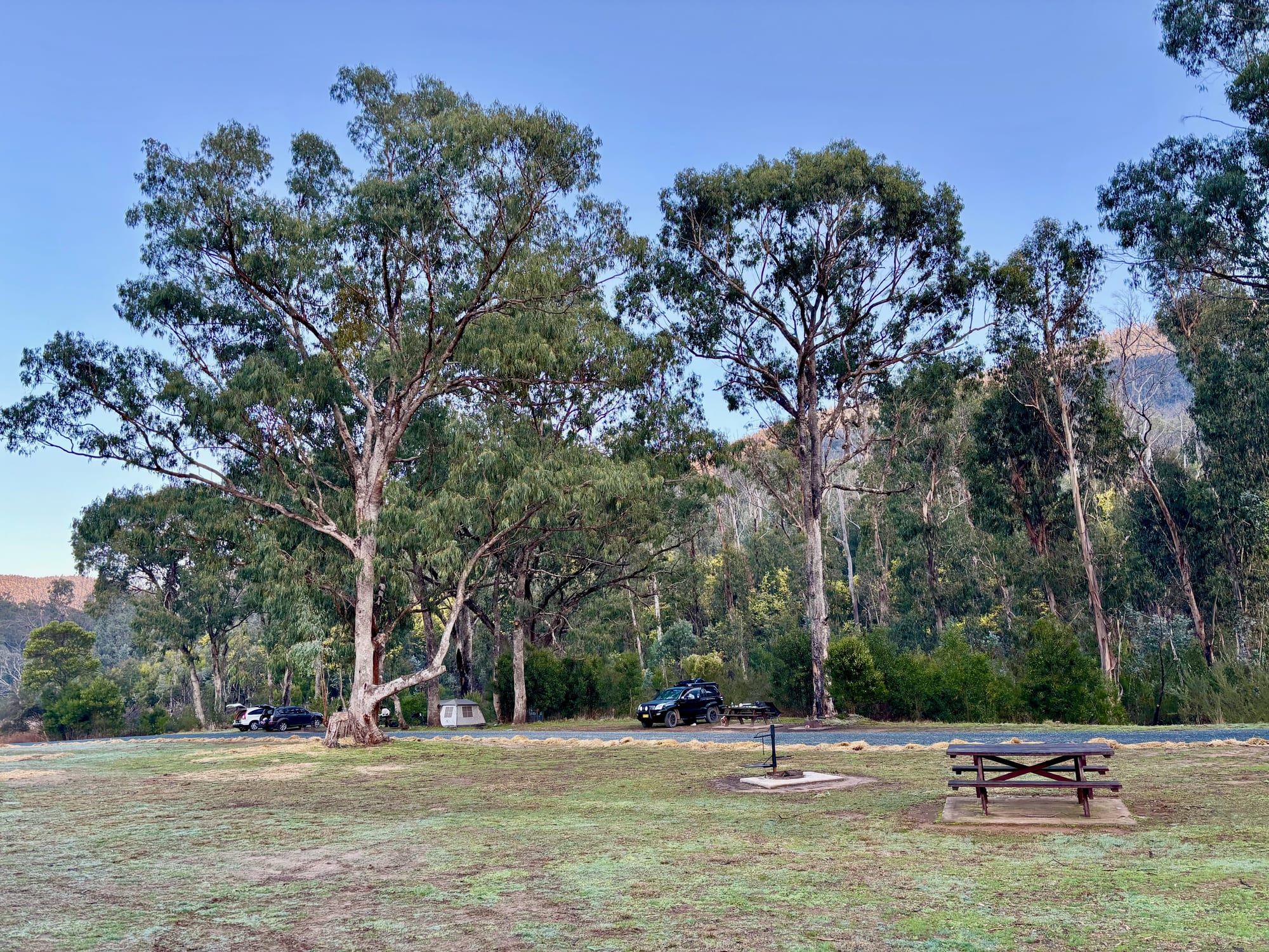 A picnic table and a fire ring on the open grass at Jounama Creek Campground