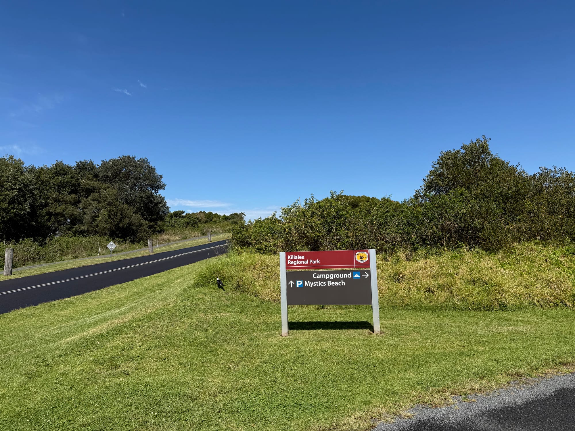 The Killalea Regional Park sign pointing to the campground and Mystics Beach