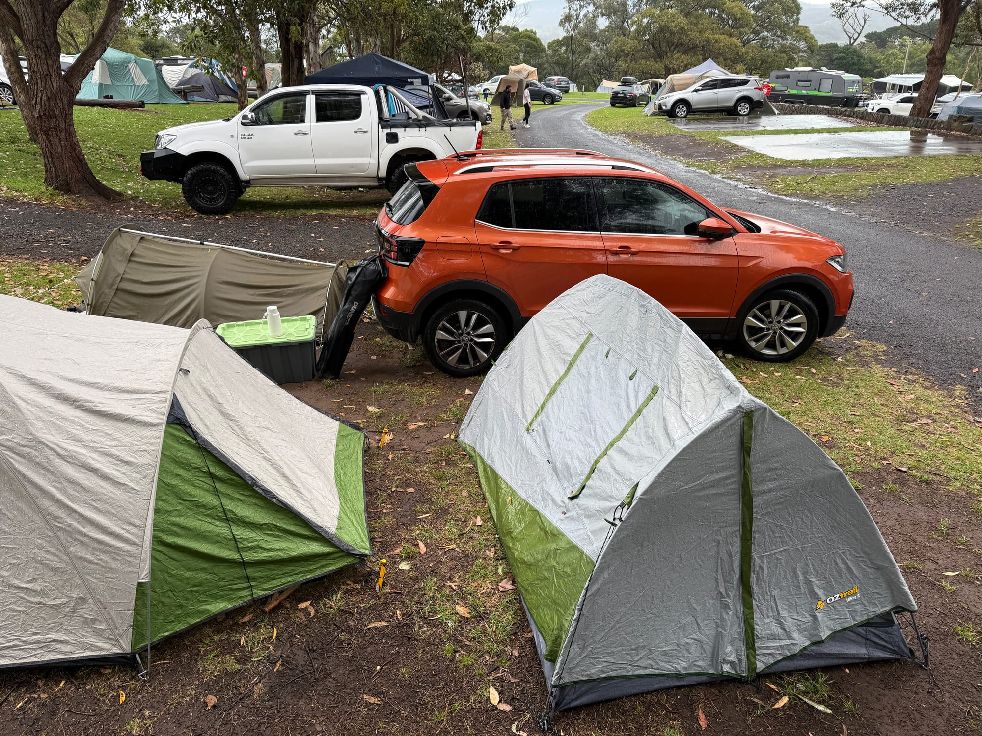 Tents and cars close together on the grassy sites at Killalea Campground
