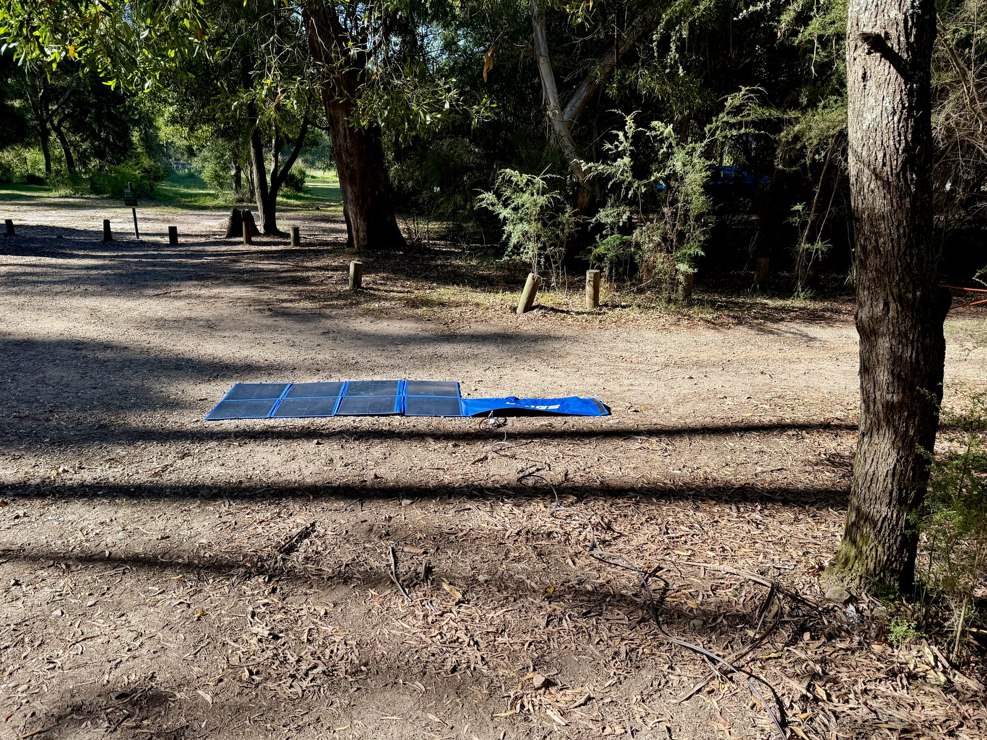 The Kings 240W solar blanket in a sunny clearing at camp