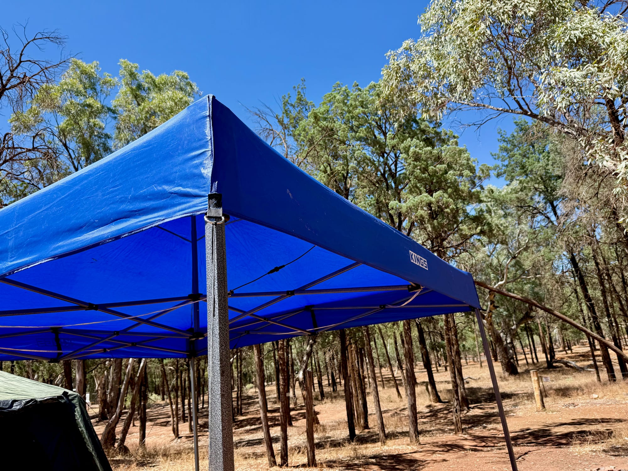 A corner of the blue Kings gazebo canopy against the sky, with its guy rope running down