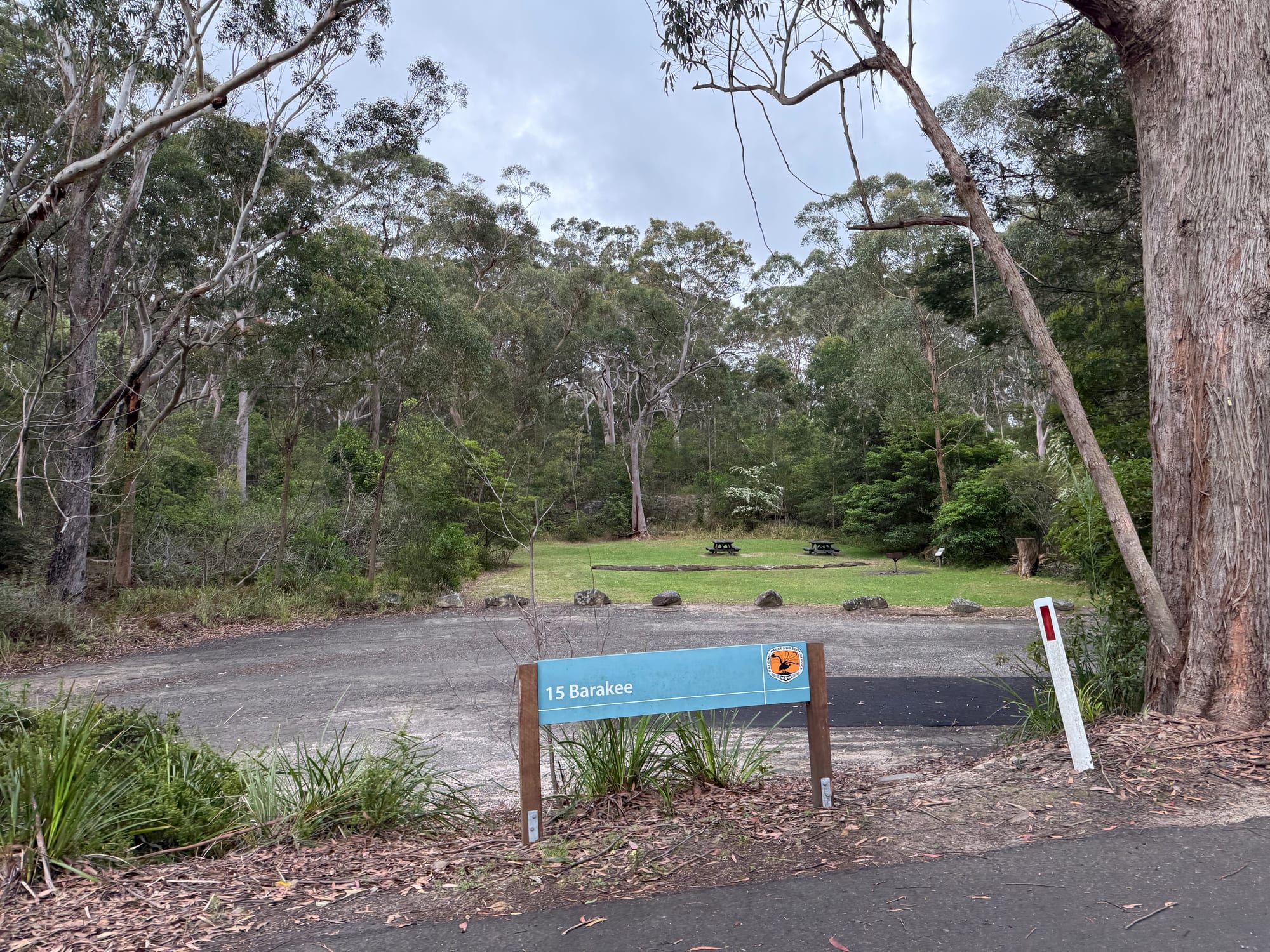 The Barakee picnic area: a car park in front of an open lawn with picnic tables, surrounded by tall gums