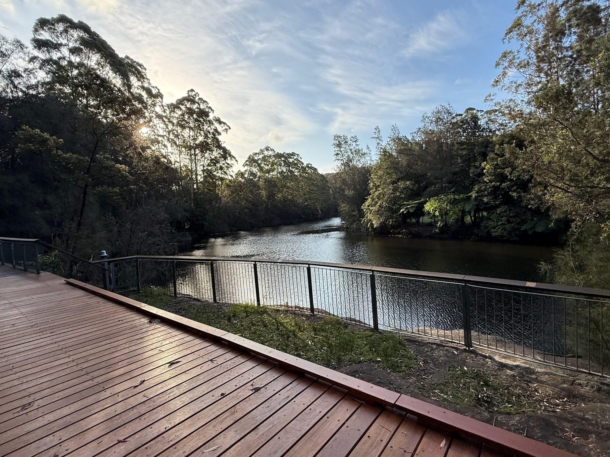 A timber boardwalk with a railing along the Lane Cove River, in the sun