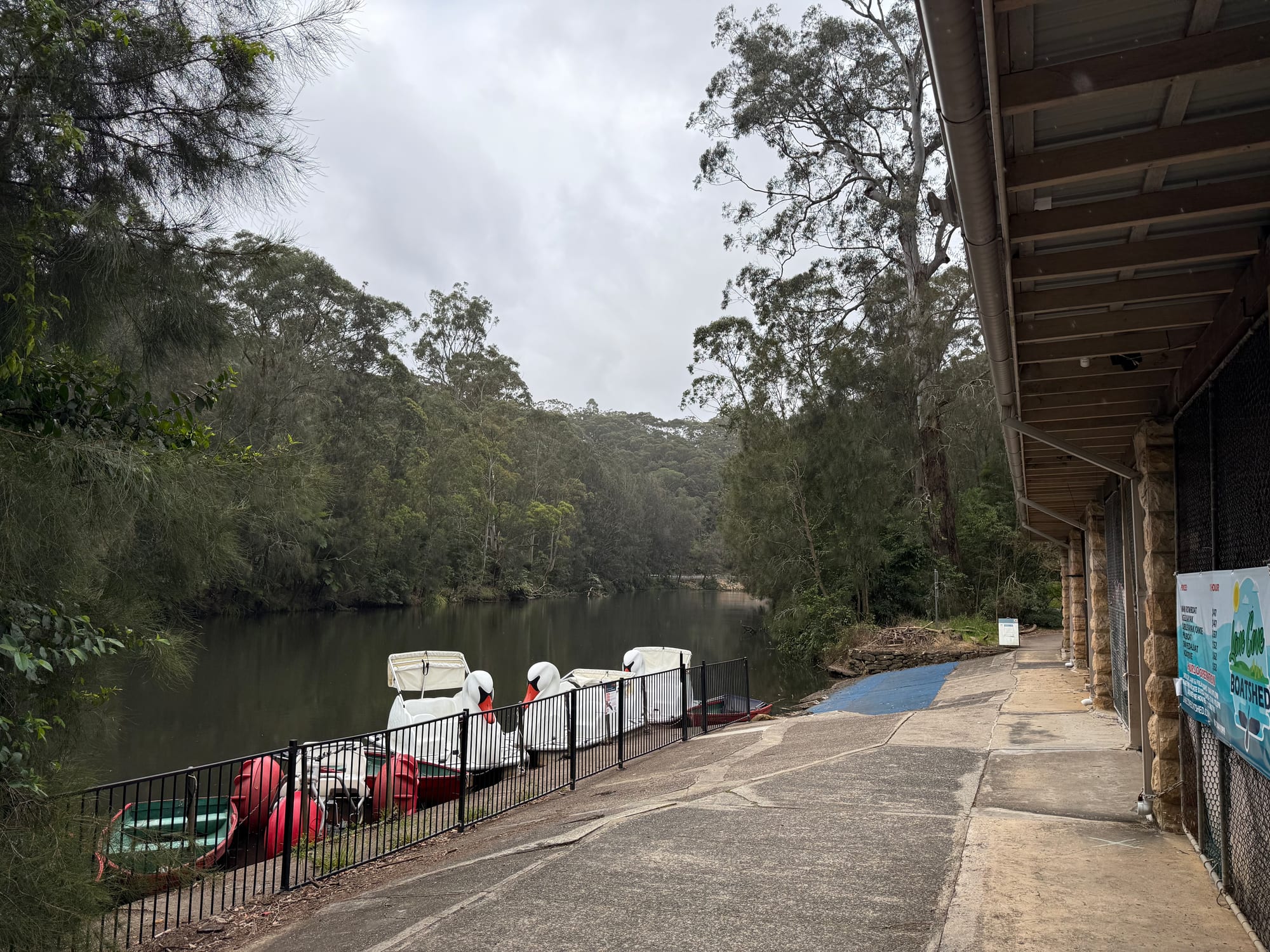The Lane Cove River from the boatshed, with paddle boats tied up along the bank and bushland on the far side