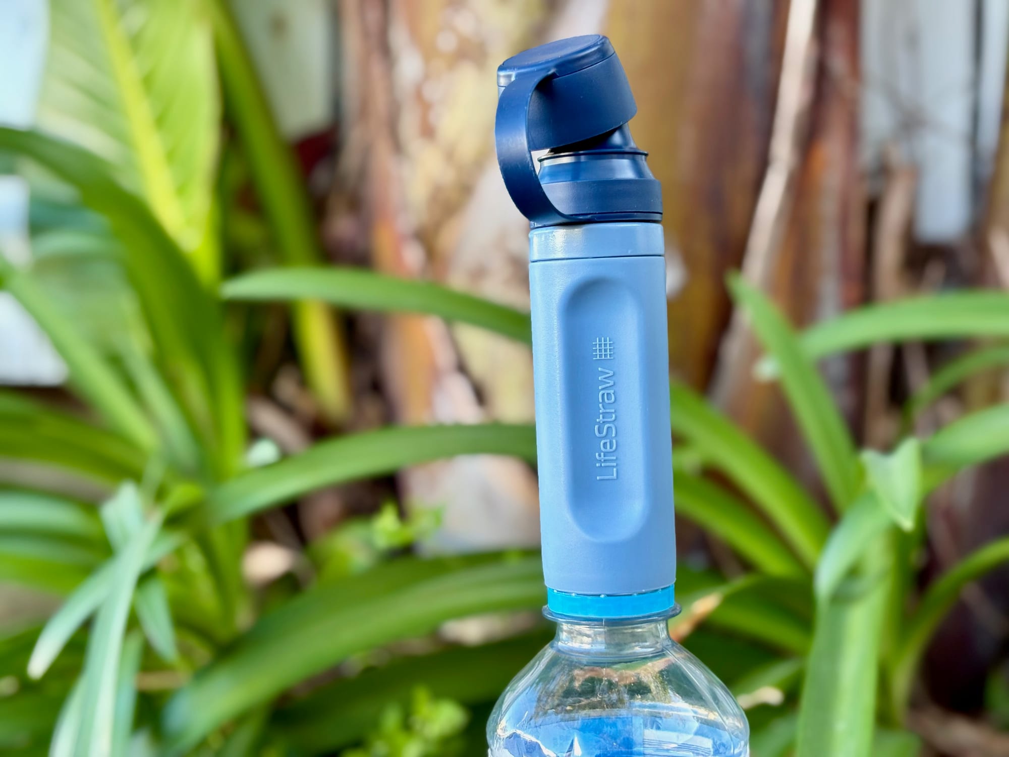 The LifeStraw Peak Solo screwed onto a plastic water bottle, cap open, among green plants