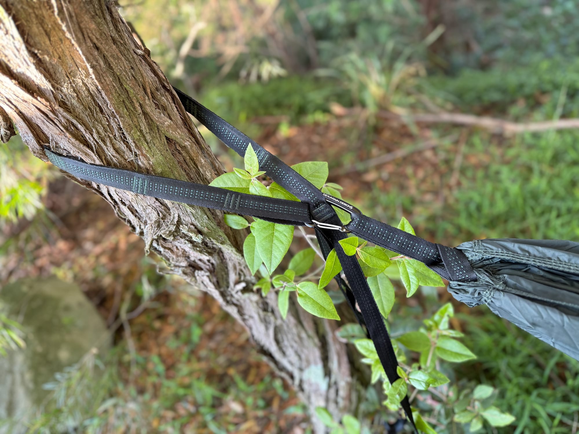 The hammock’s carabiner hooked into one of the loops of a black strap wrapped around a tree