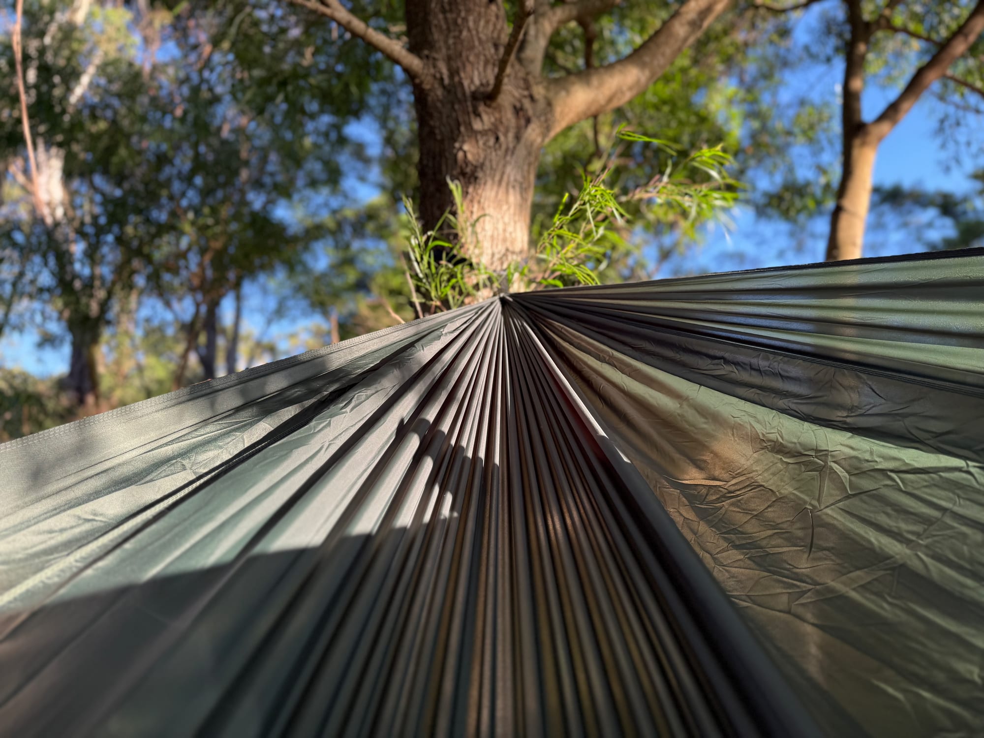 Looking along the inside of the dark green hammock towards the tree it hangs from, under a blue sky