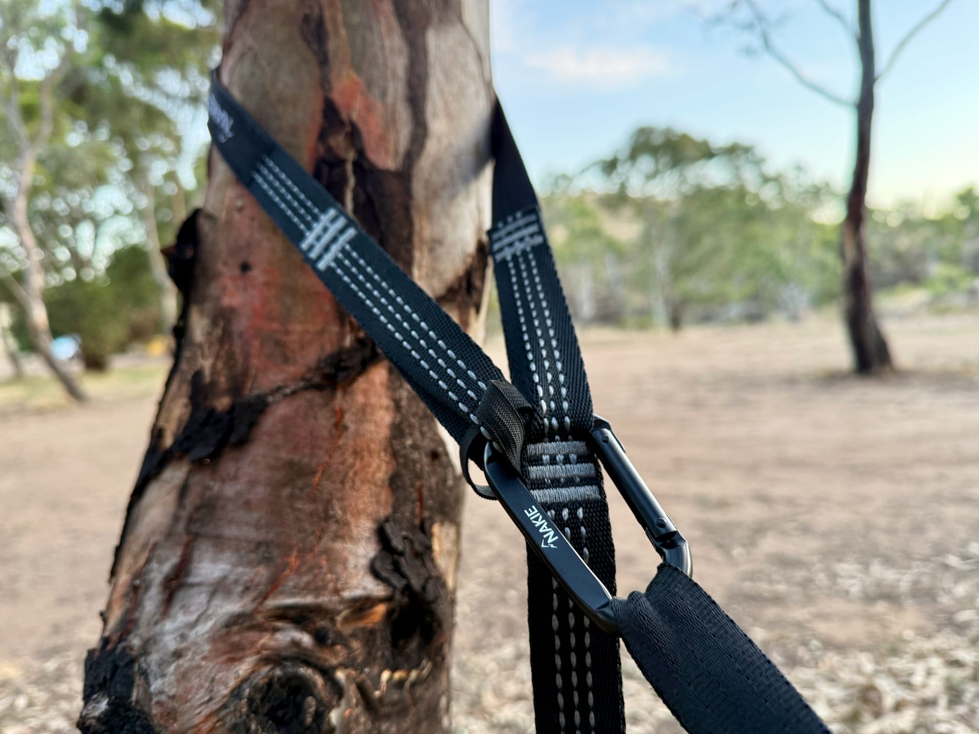 A Nakie strap wrapped around a tree with the carabiner clipped into the loops