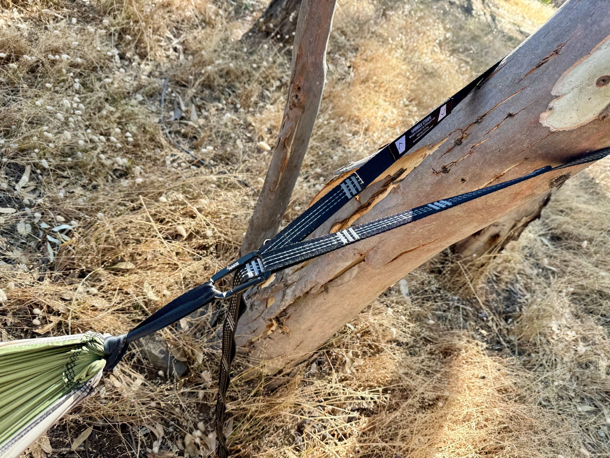 The strap running from the tree to the gathered end of the Nakie hammock