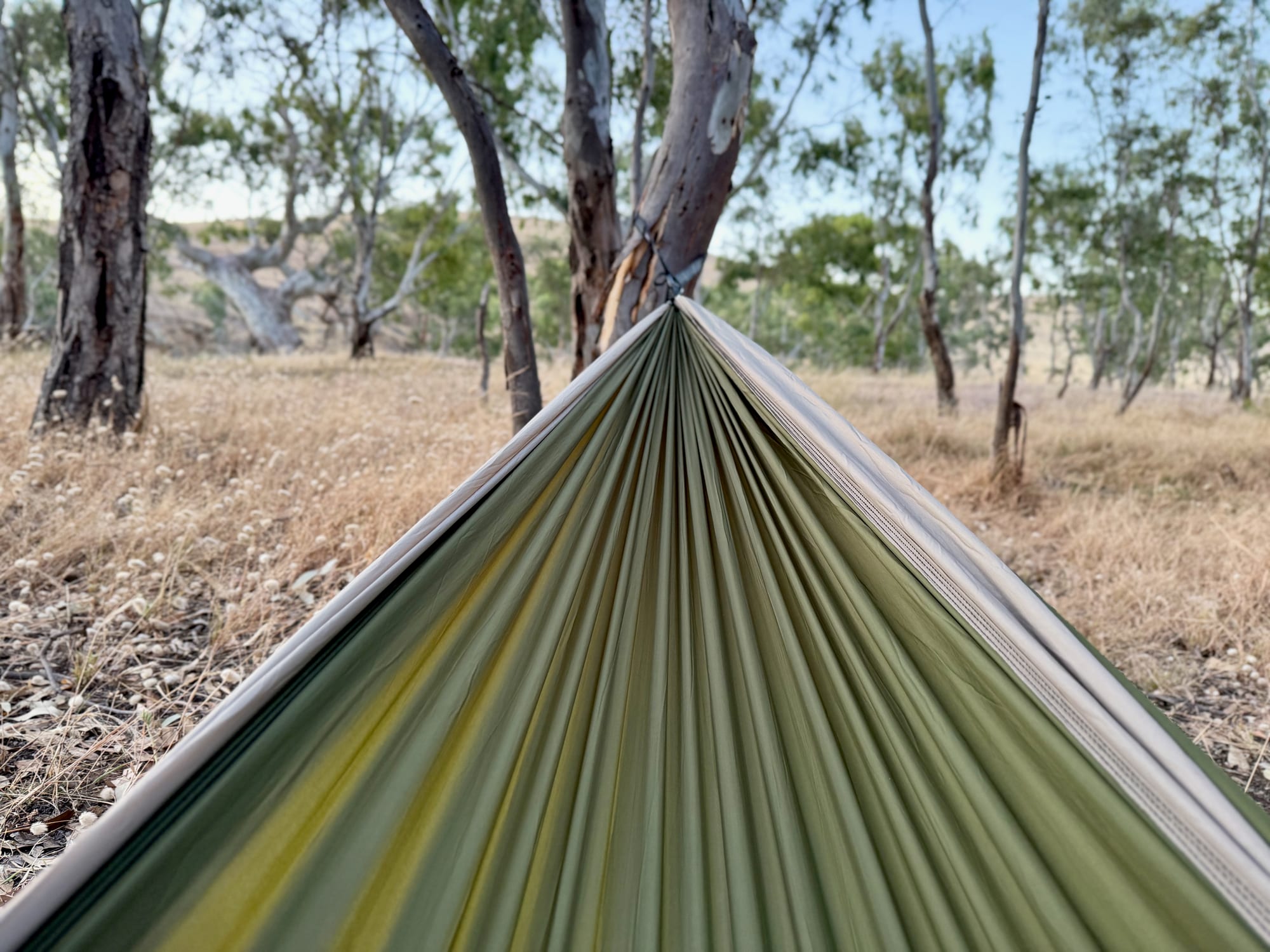 The view along the Nakie hammock from the inside, towards the tree